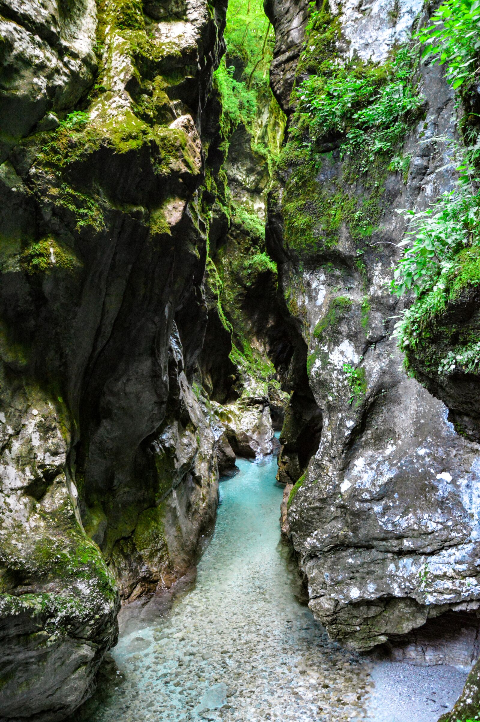 Nikon D3200 sample photo. Rock, creek, water photography