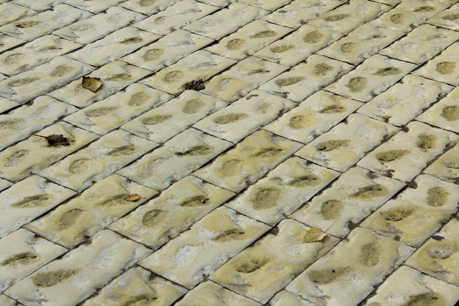 Canon EF-S 17-85mm F4-5.6 IS USM sample photo. Pavement, tile, stone photography