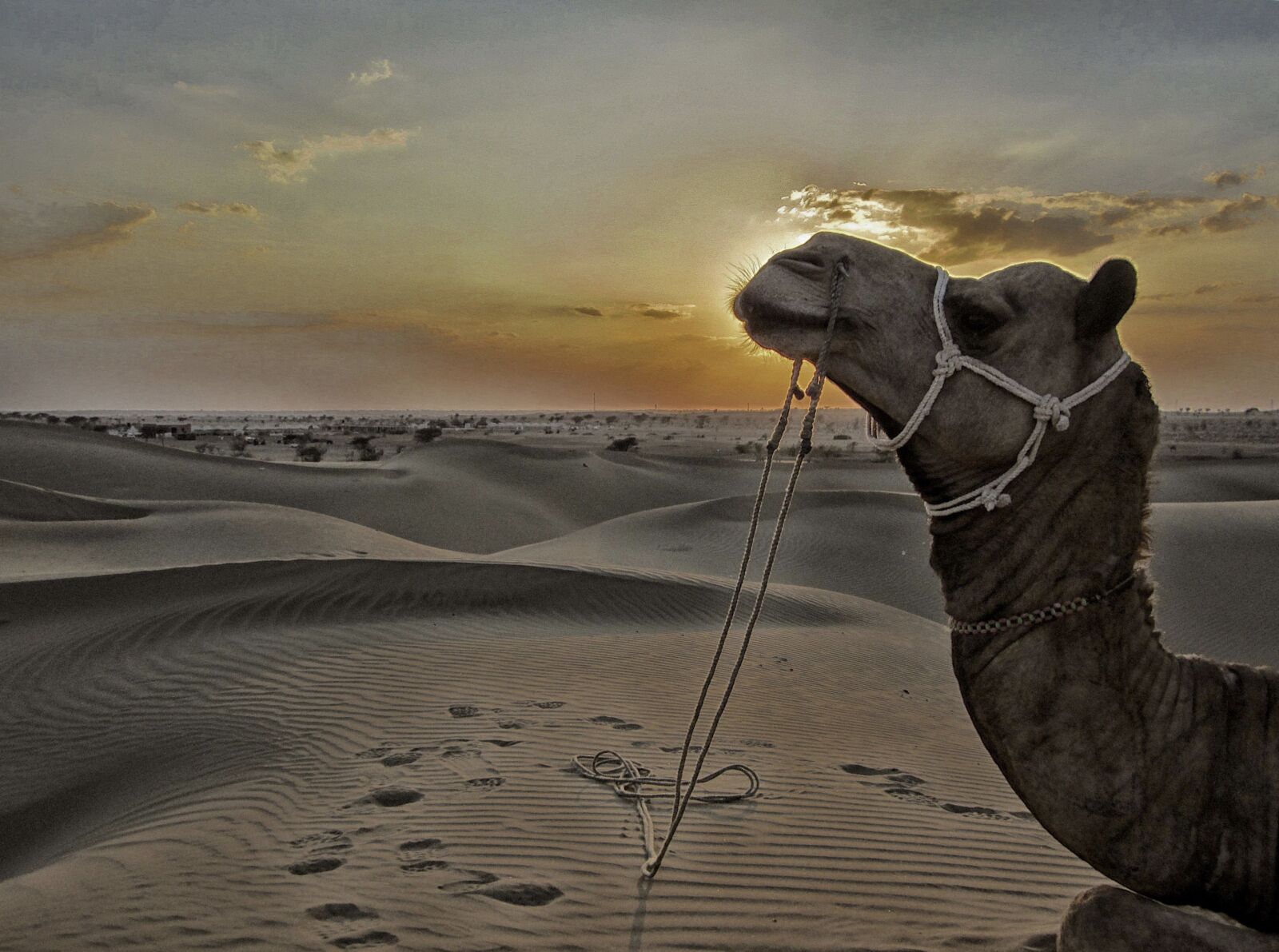 Canon PowerShot ELPH 100 HS (IXUS 115 HS / IXY 210F) sample photo. Jaisalmer, sam sand dunes photography