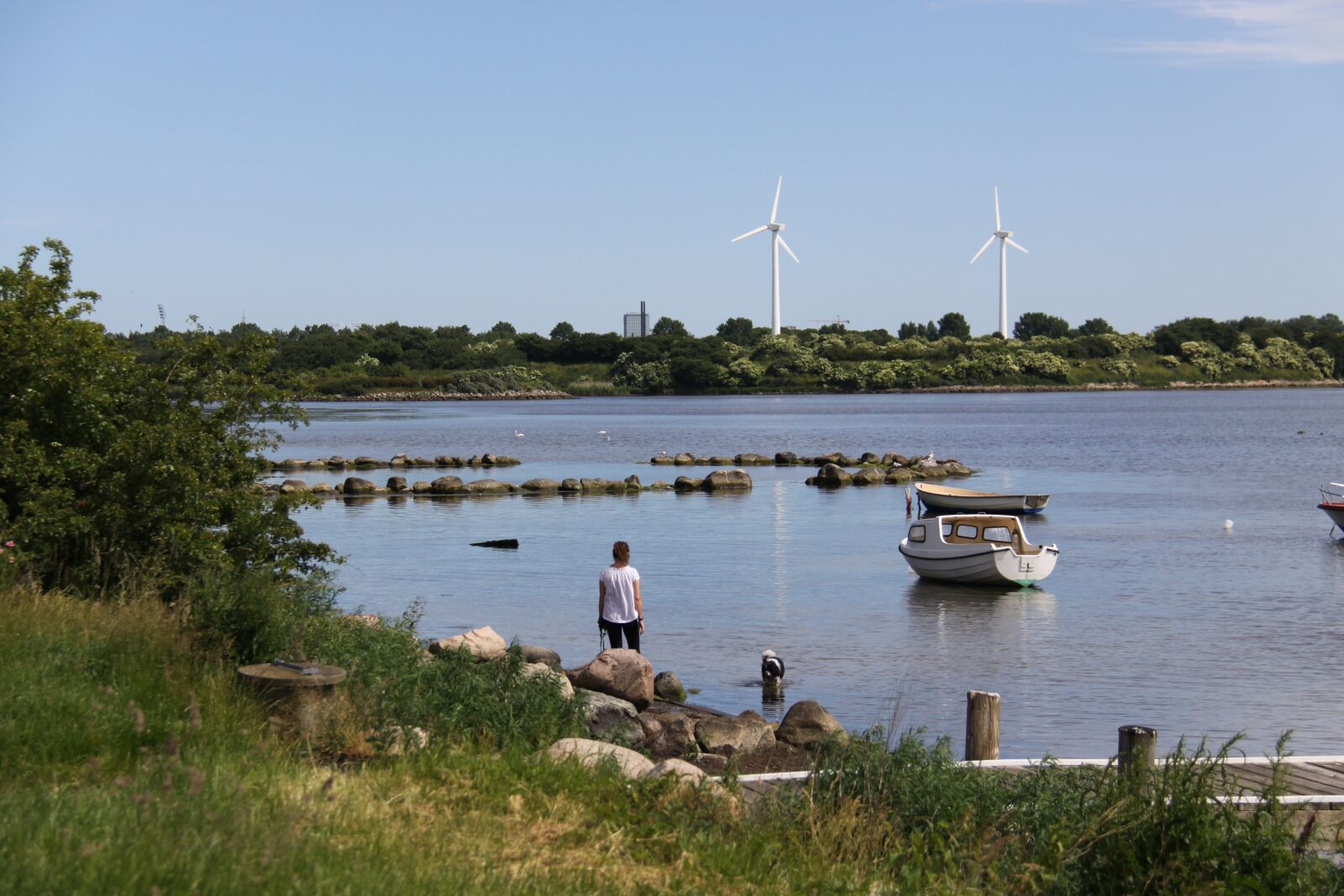 Canon EOS 50D sample photo. The beach park, hundelufter photography