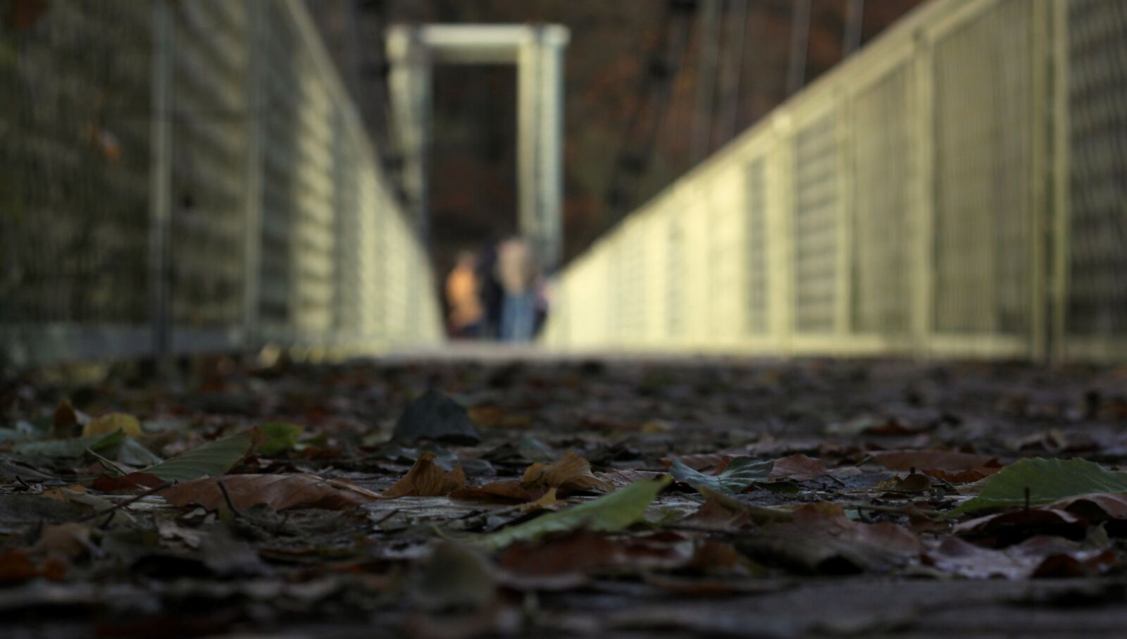 Canon EOS 60D + Canon EF 50mm F1.8 II sample photo. Foliage, autumn, footbridge photography