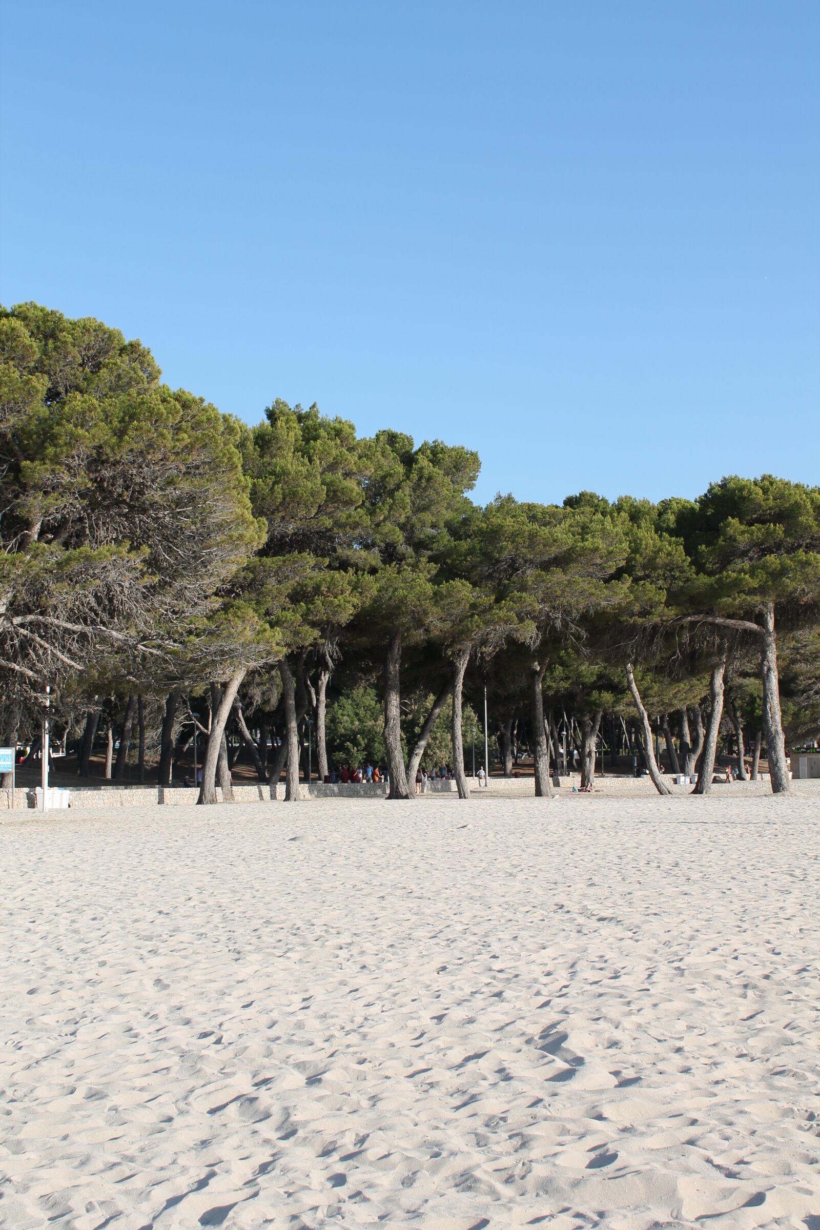 Canon EOS 1100D (EOS Rebel T3 / EOS Kiss X50) sample photo. Mallorca, santa ponsa, beach photography