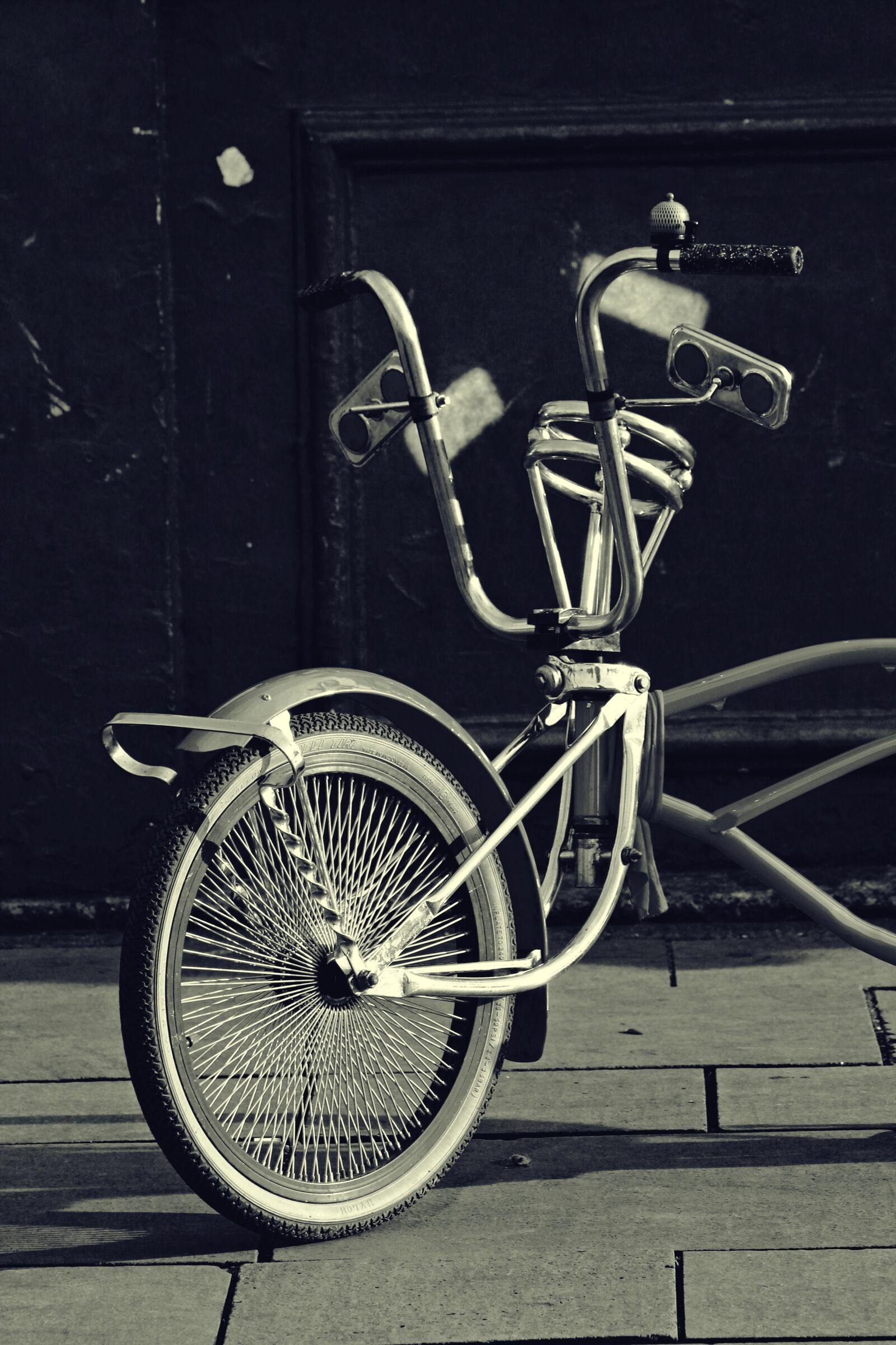 Canon EOS 550D (EOS Rebel T2i / EOS Kiss X4) sample photo. Monochrome, black and white photography