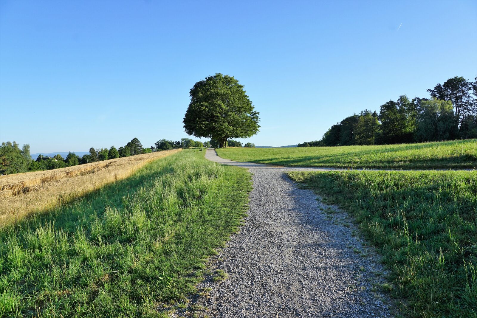 Sony ILCA-77M2 + Sony DT 16-50mm F2.8 SSM sample photo. Zollikon, switzerland, swiss photography