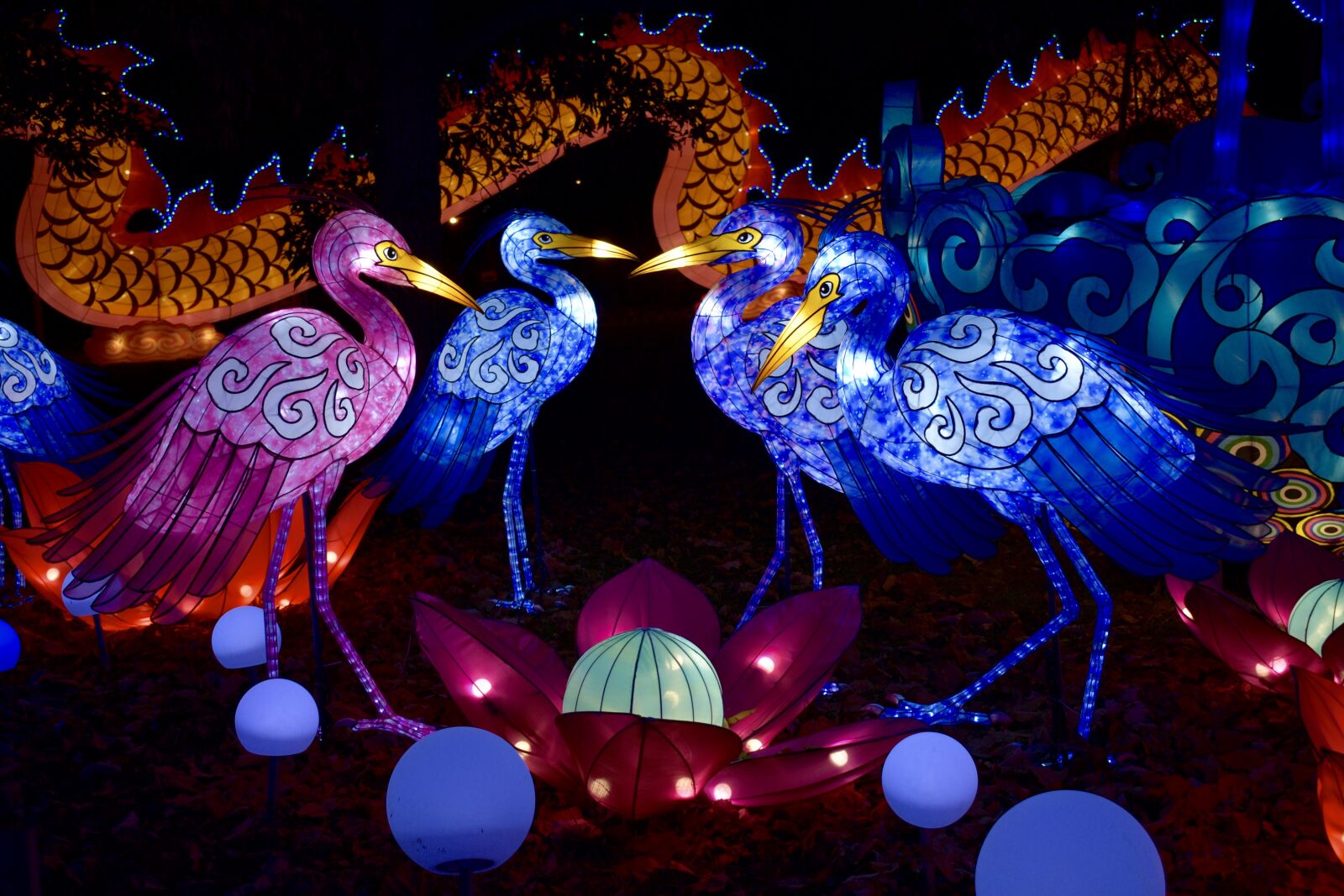 Nikon D3400 sample photo. Chinese lanterns, night, lantern photography