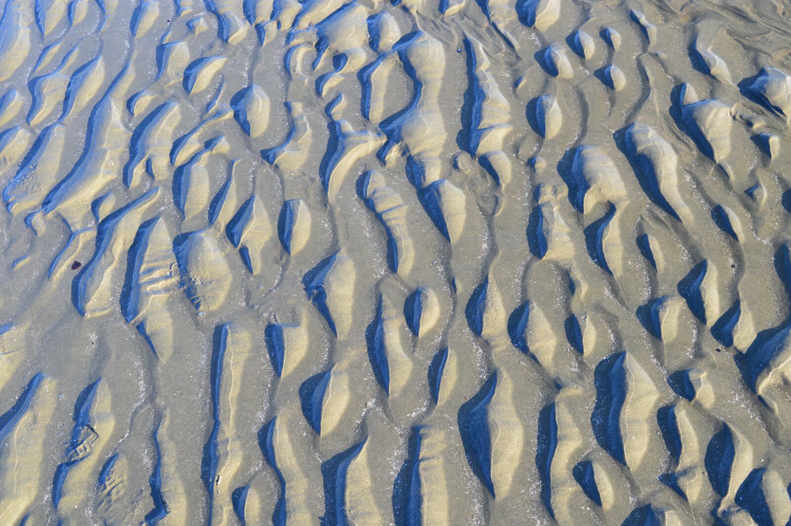 Nikon D3200 sample photo. Beach, sand, waves photography