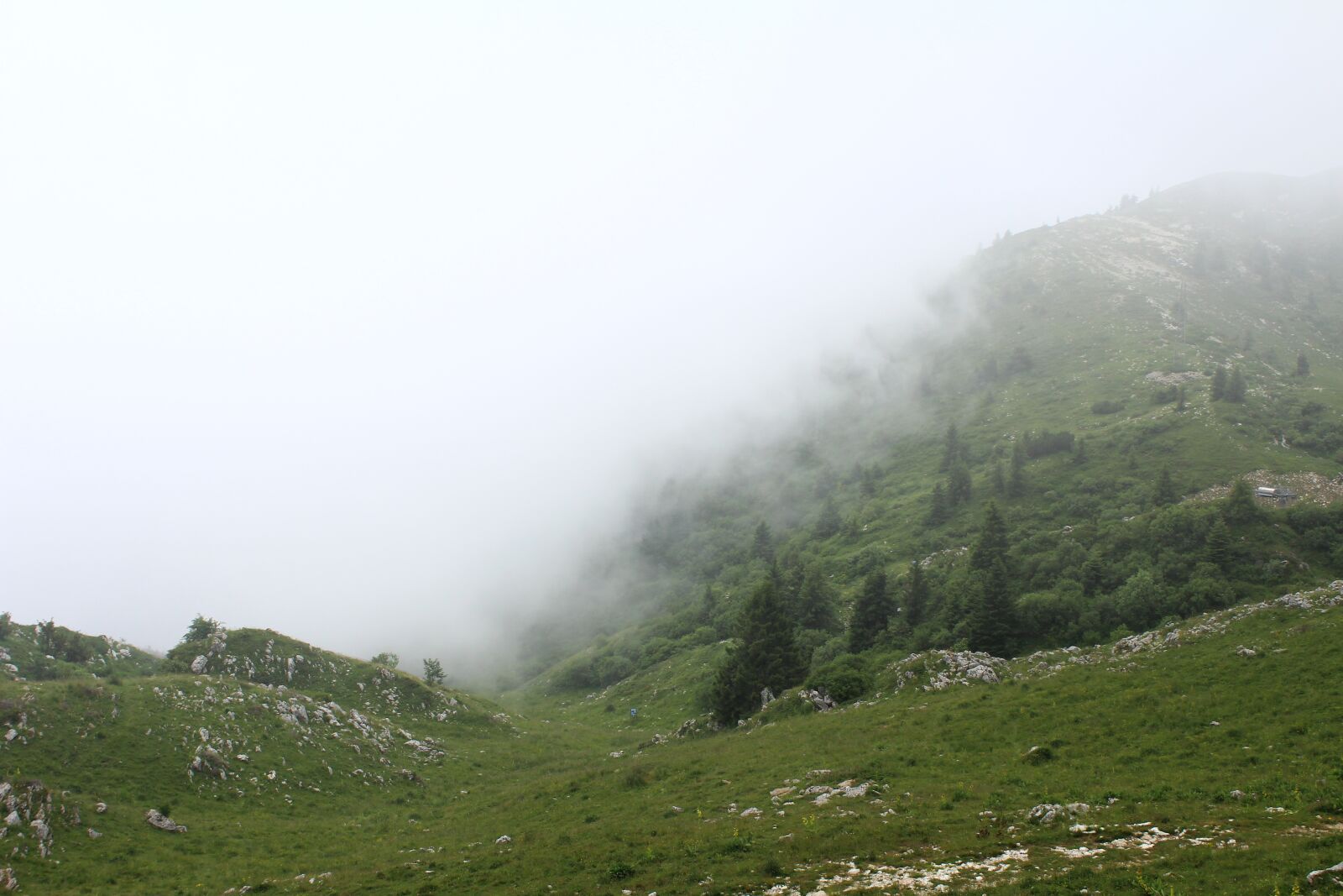 Canon EOS 600D (Rebel EOS T3i / EOS Kiss X5) sample photo. Fog, mist, landscape photography