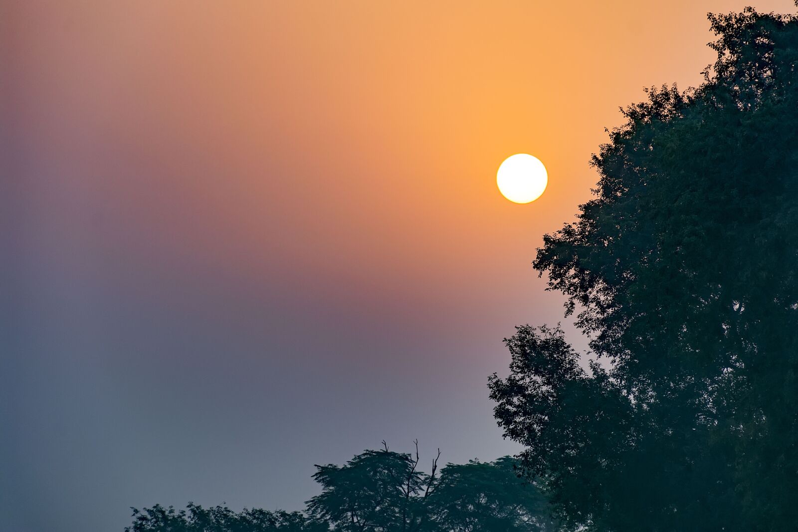 Nikon D7100 sample photo. Dawn, sunrise, morning photography