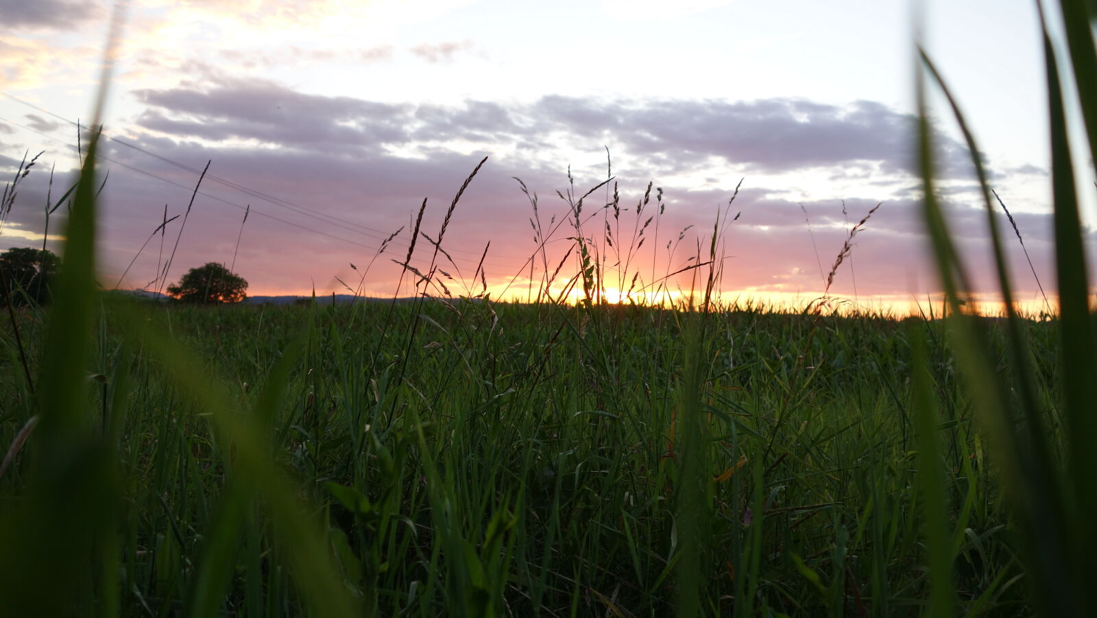 Sony Cyber-shot DSC-RX100 sample photo. Field, germany, sunset photography