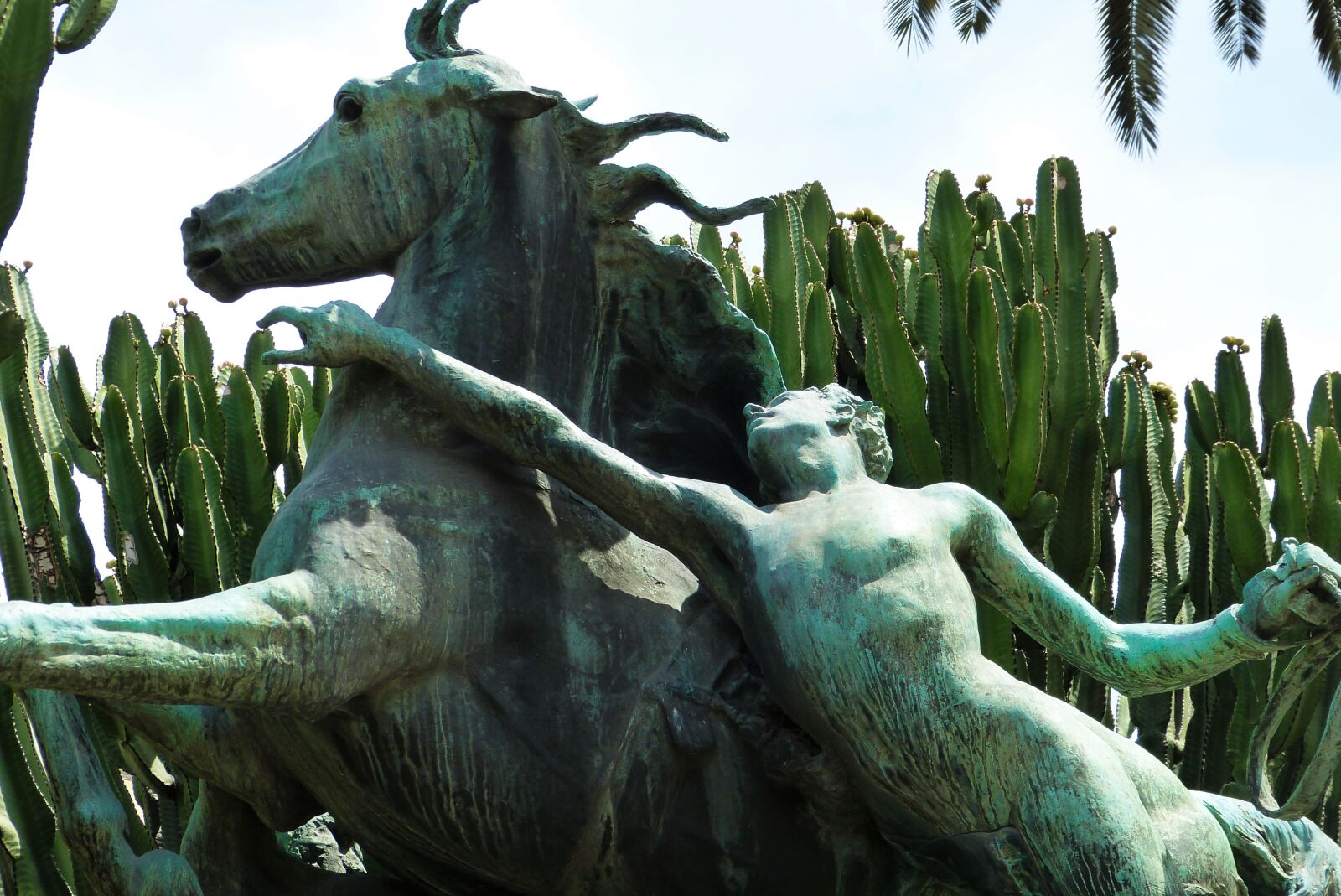 Panasonic Lumix DMC-FZ150 sample photo. Cacti, horse, monument photography