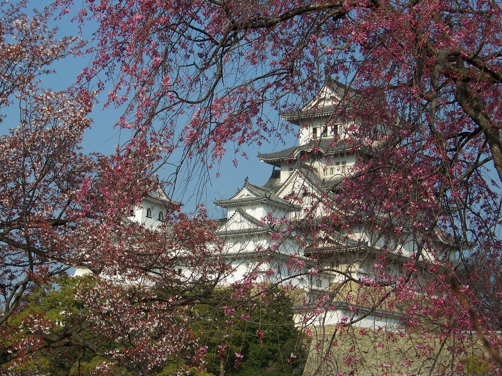 Kodak Z712 IS ZOOM DIGITAL CAMERA sample photo. Himeji-jo, white heron, castle photography