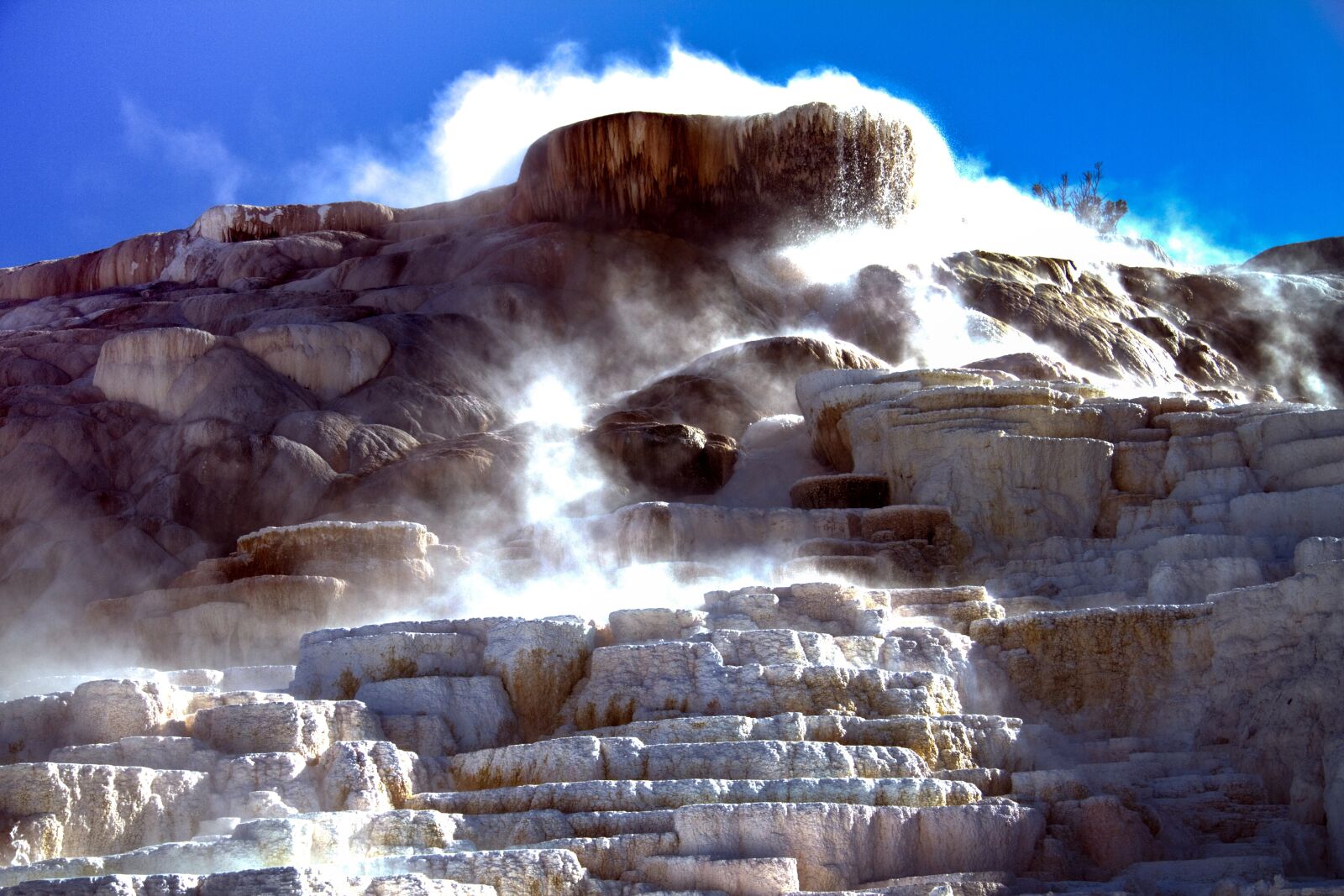 Canon EF-S 17-85mm F4-5.6 IS USM sample photo. Yellowstone national park, wyoming photography
