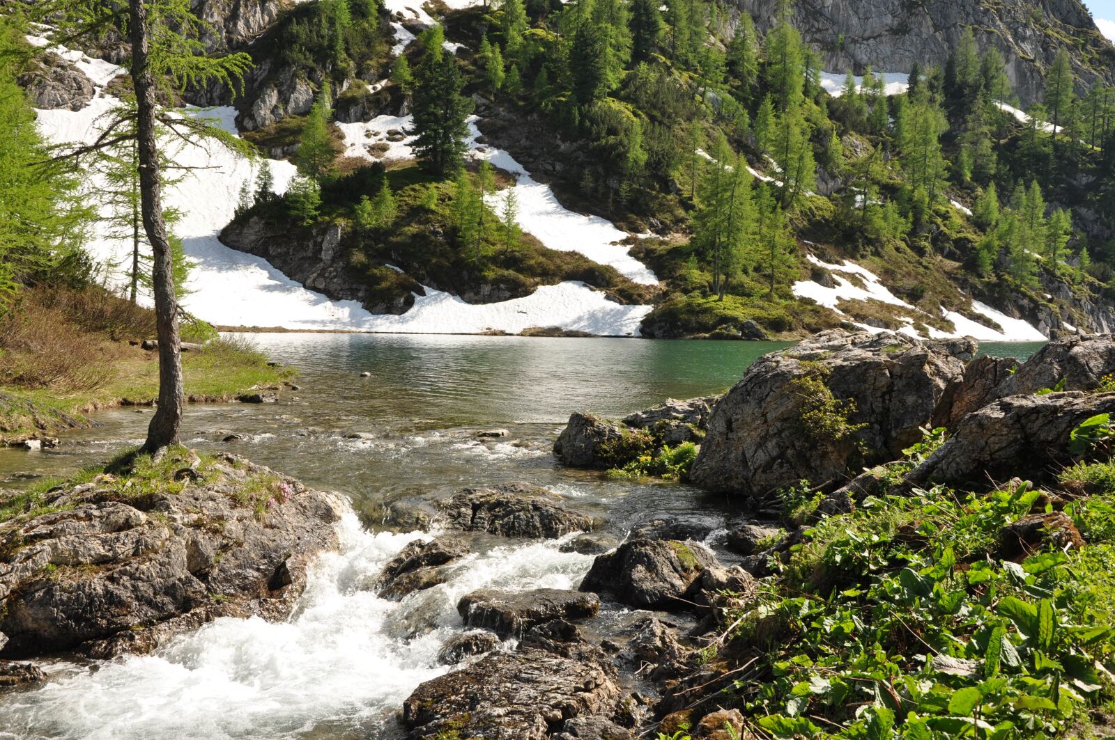 Nikon D90 sample photo. Bergsee, bach, tappenkarsee photography