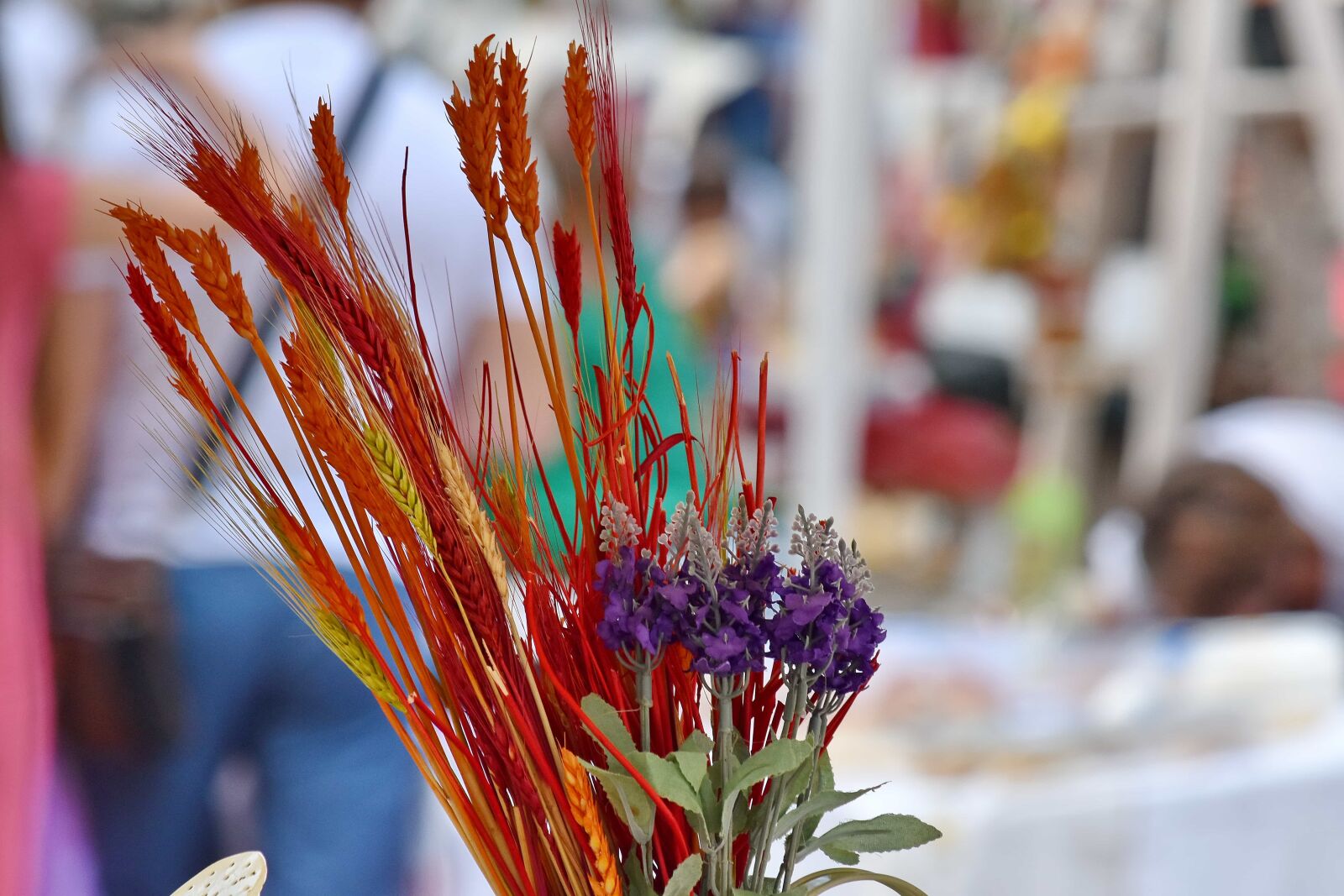 Nikon D5500 sample photo. Colorful, decoration, dry, paint photography