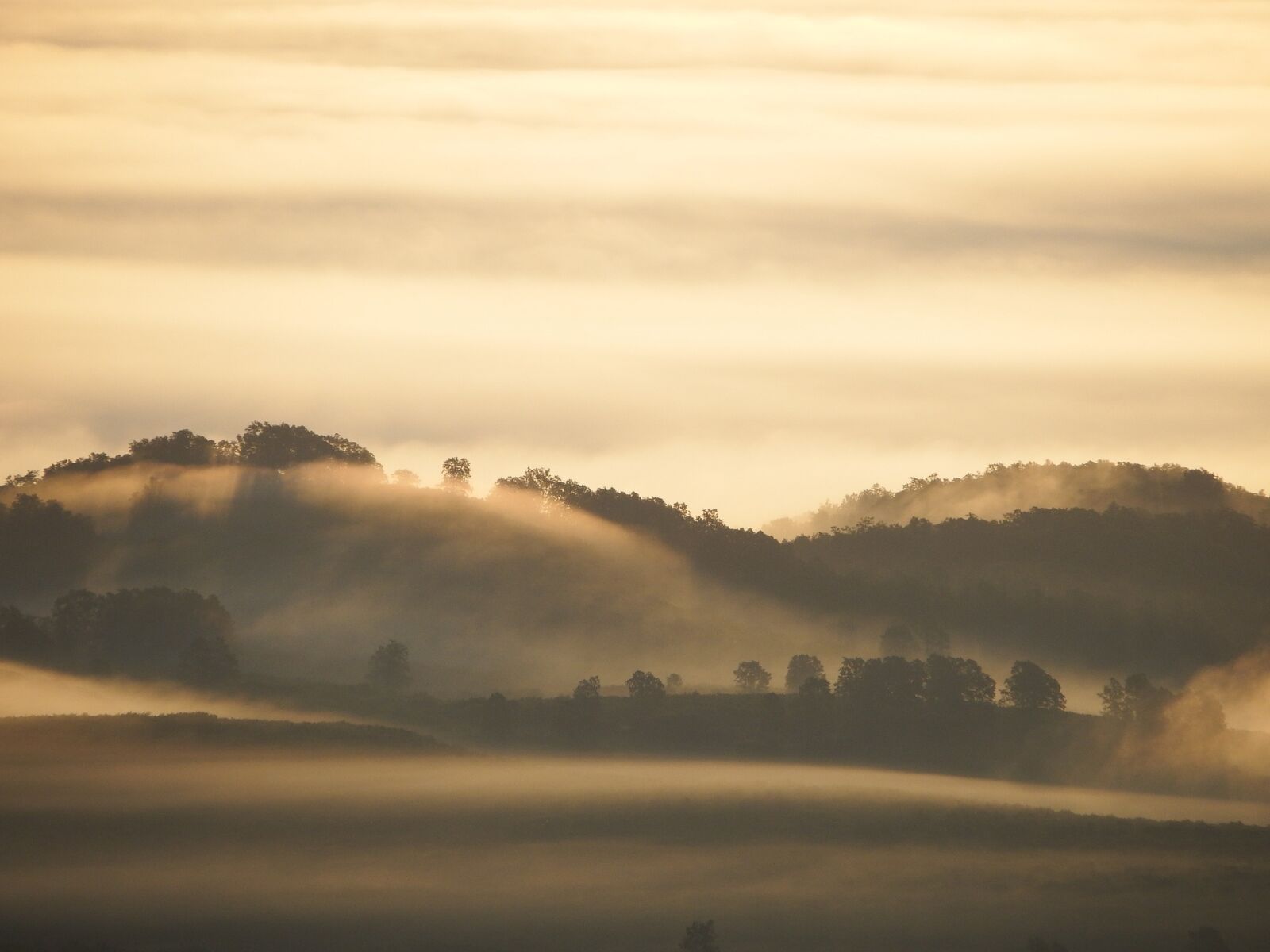 Fujifilm FinePix S1 sample photo. Sunrise dawn mist, morning photography