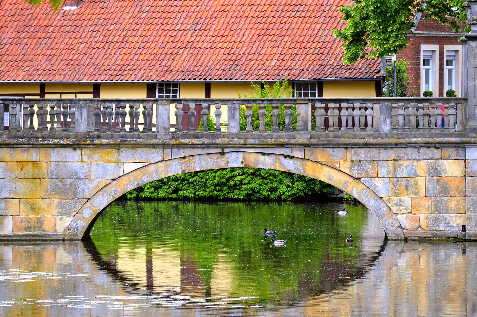 Nikon D3200 sample photo. Bridge, water, window photography