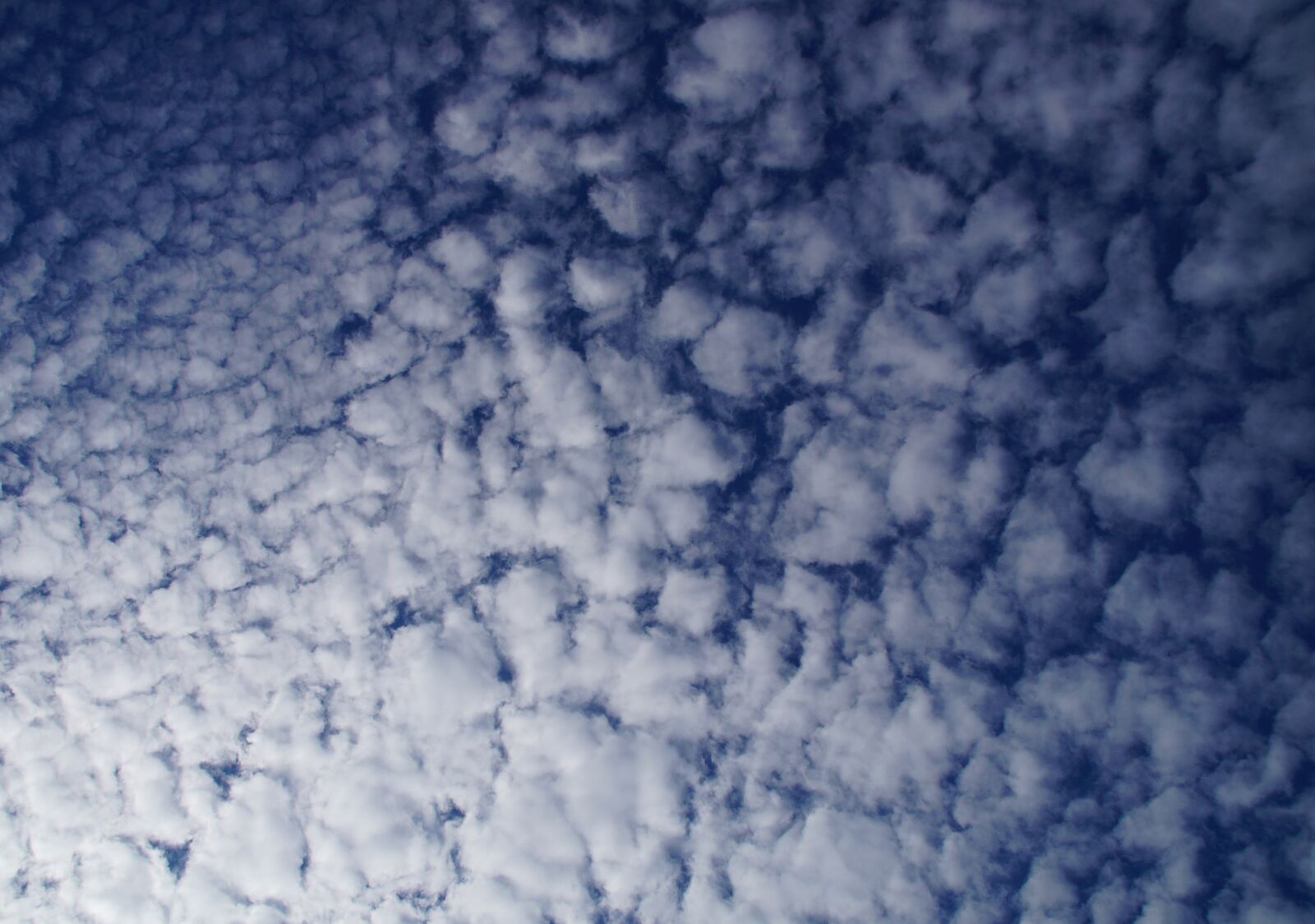Sony SLT-A57 sample photo. Clouds, sky, blue photography
