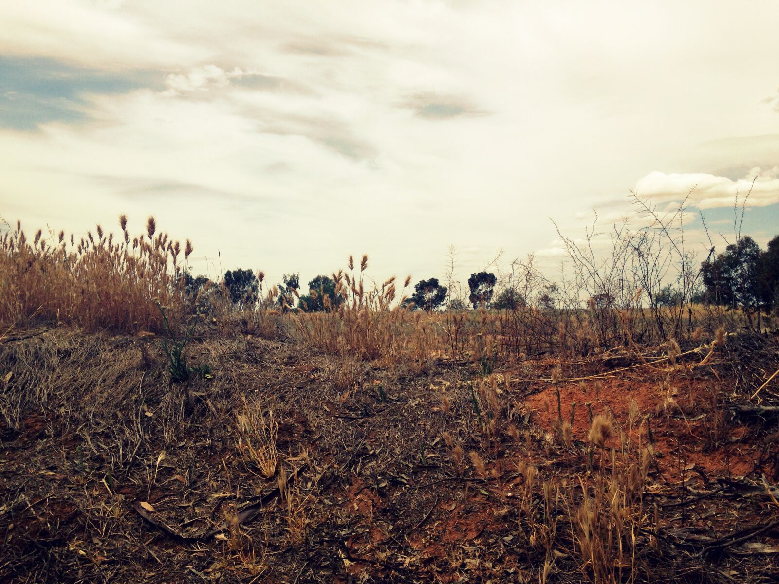 iPhone 5c back camera 4.12mm f/2.4 sample photo. Cloudy, sky, farm, horizon photography