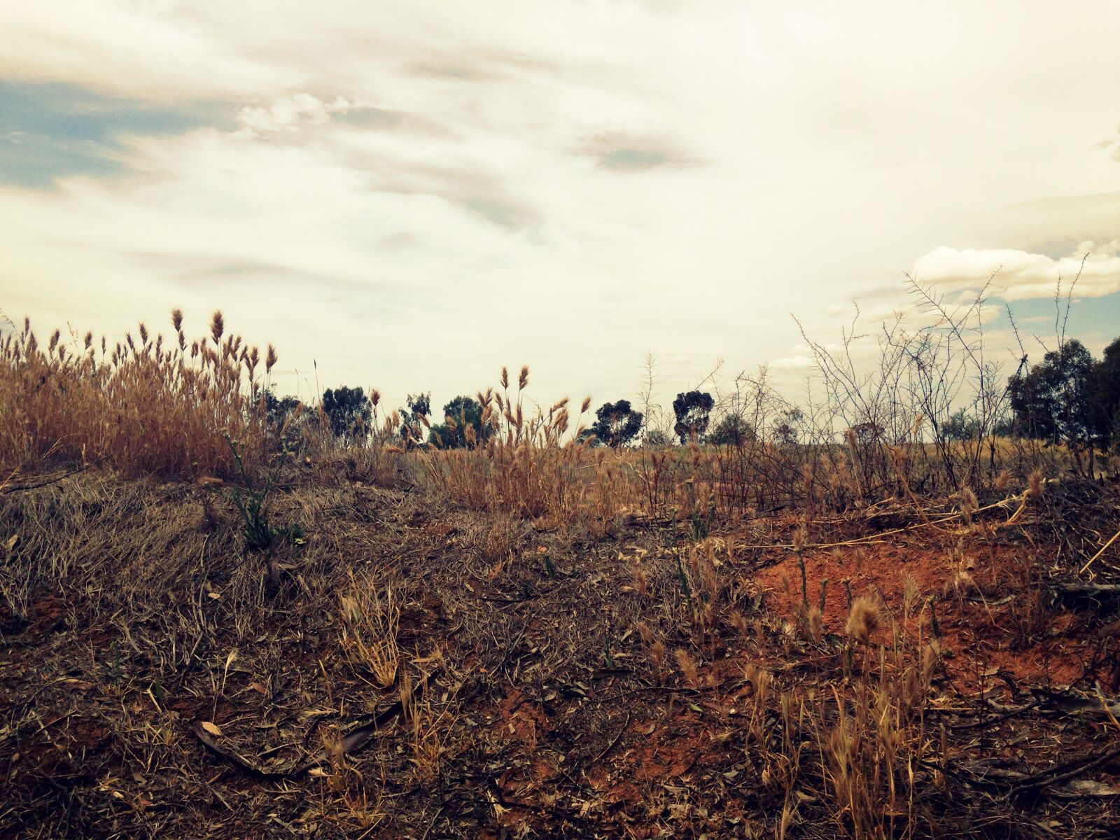 Apple iPhone 5c sample photo. Cloudy, sky, farm, horizon photography