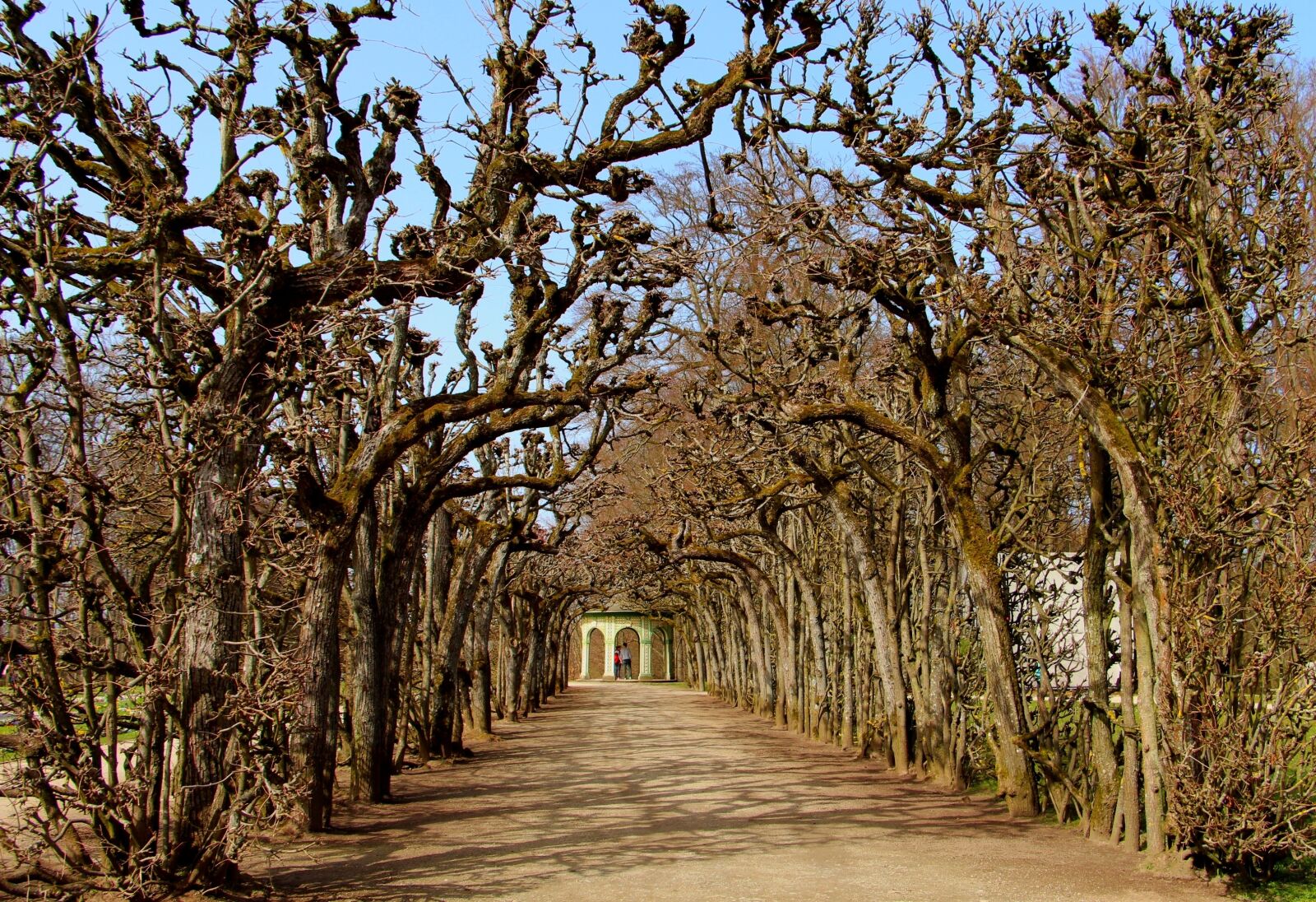 Canon EOS 700D (EOS Rebel T5i / EOS Kiss X7i) sample photo. Trees, park, ellie photography