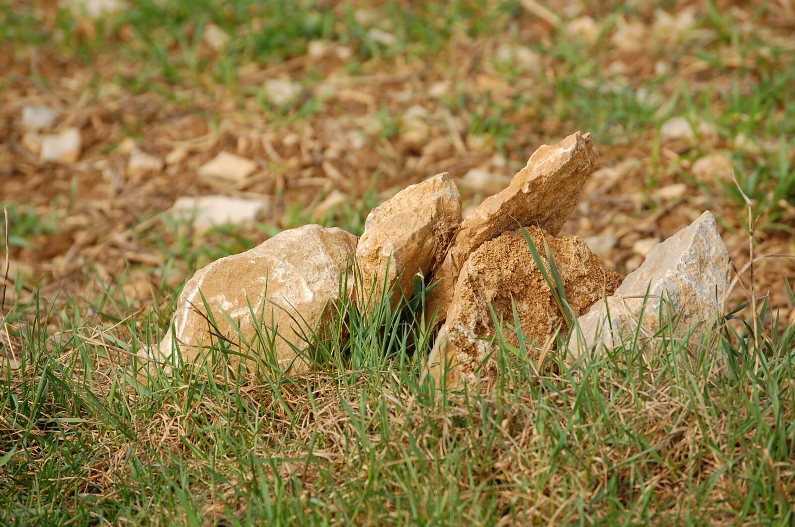 Nikon D40 sample photo. Stones, meadow, rock photography