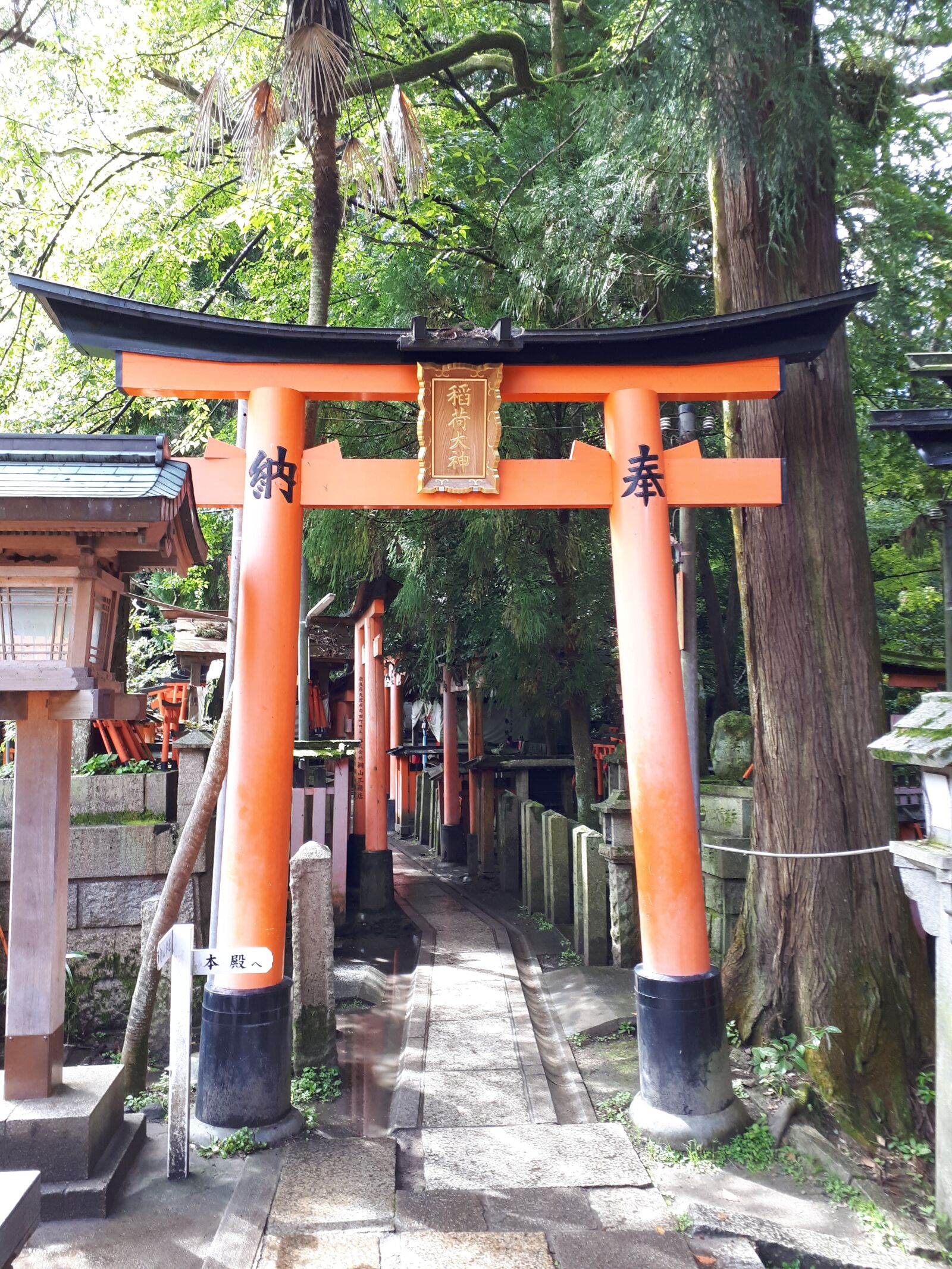 Samsung Galaxy A5(2017) sample photo. Japan, kyoto, fushimi inari photography