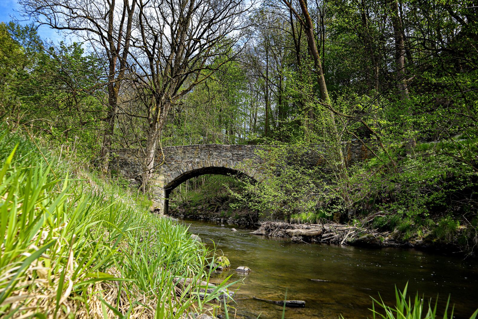 Canon EOS M50 (EOS Kiss M) sample photo. Striegstal, hiking, nature photography