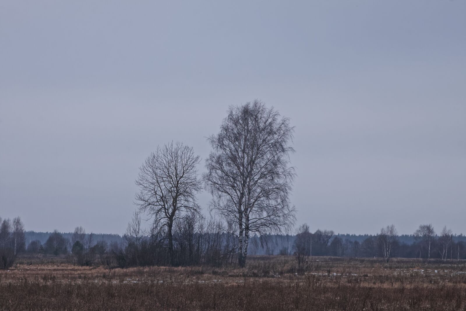 Canon EOS 500D (EOS Rebel T1i / EOS Kiss X3) sample photo. Sky, sorrow, background photography