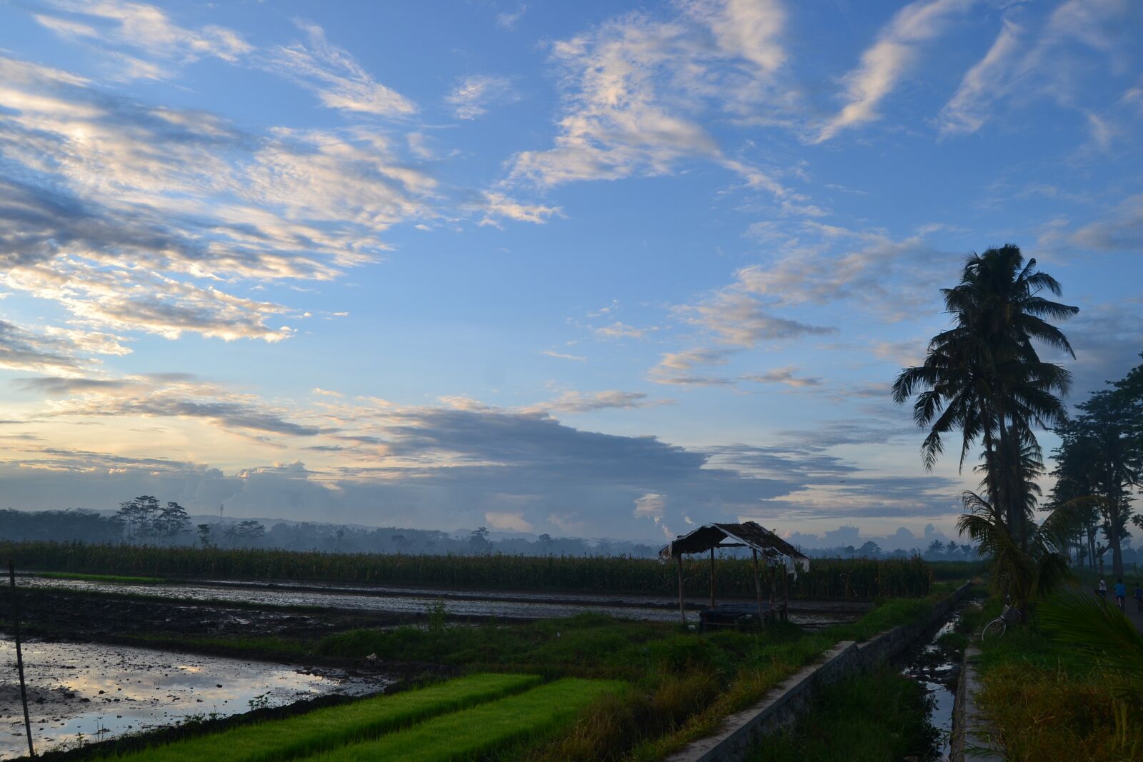Nikon D3100 sample photo. Landscape, nature, clouds photography