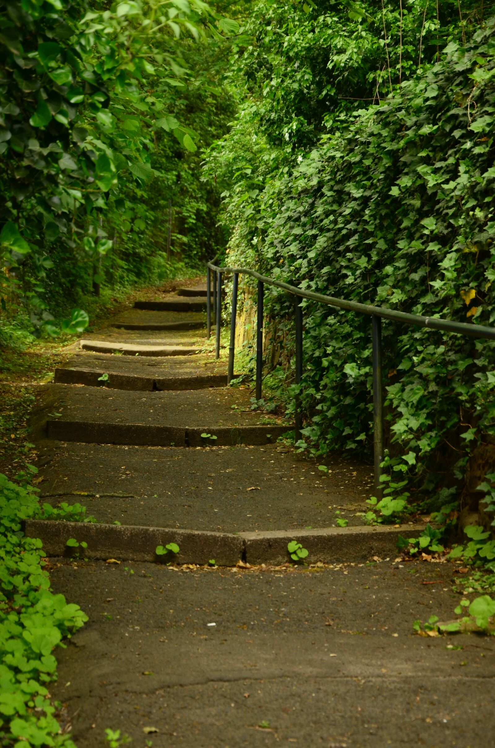 Nikon D5100 sample photo. Away, gradually, stairs photography