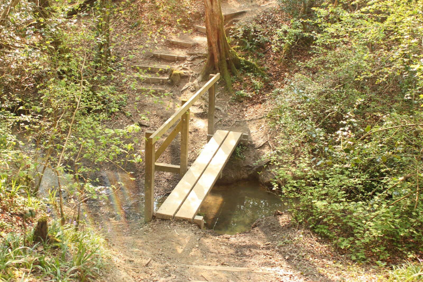 Canon EOS 450D (EOS Rebel XSi / EOS Kiss X2) sample photo. Path, bridge, nature photography