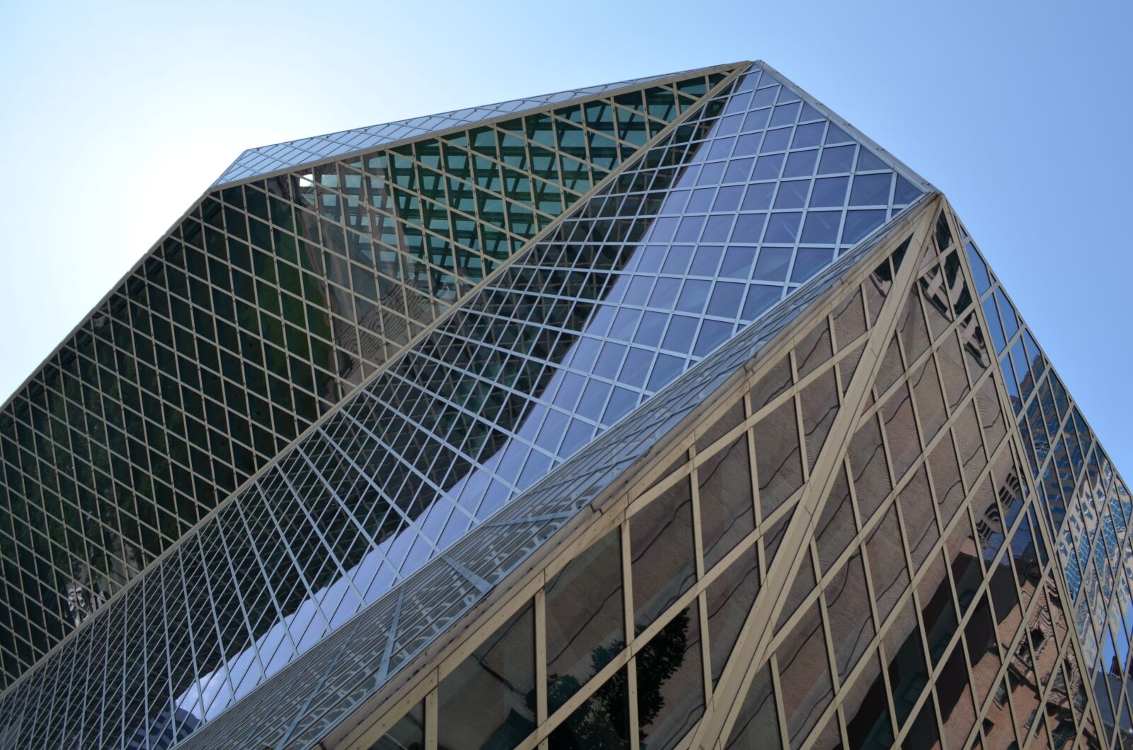 Nikon D5100 sample photo. Seattle, library, windows photography