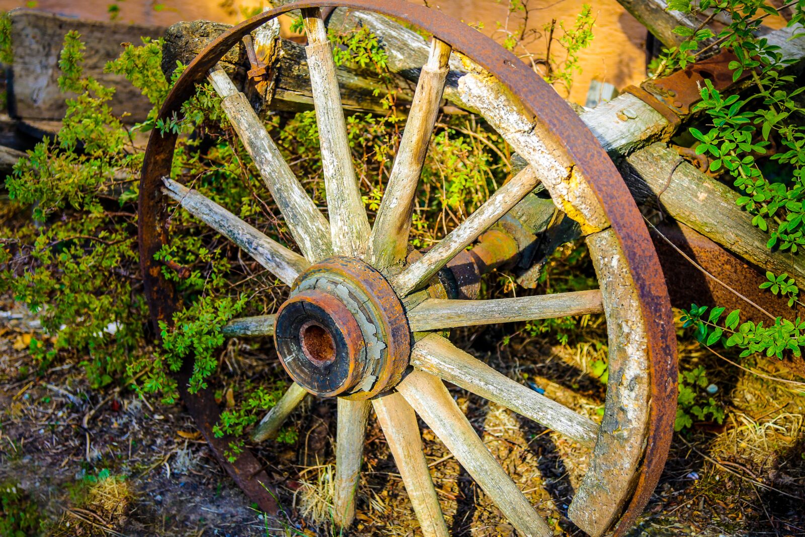 Canon EF 24-105mm F4L IS USM sample photo. Wheel, wagon wheel, spokes photography
