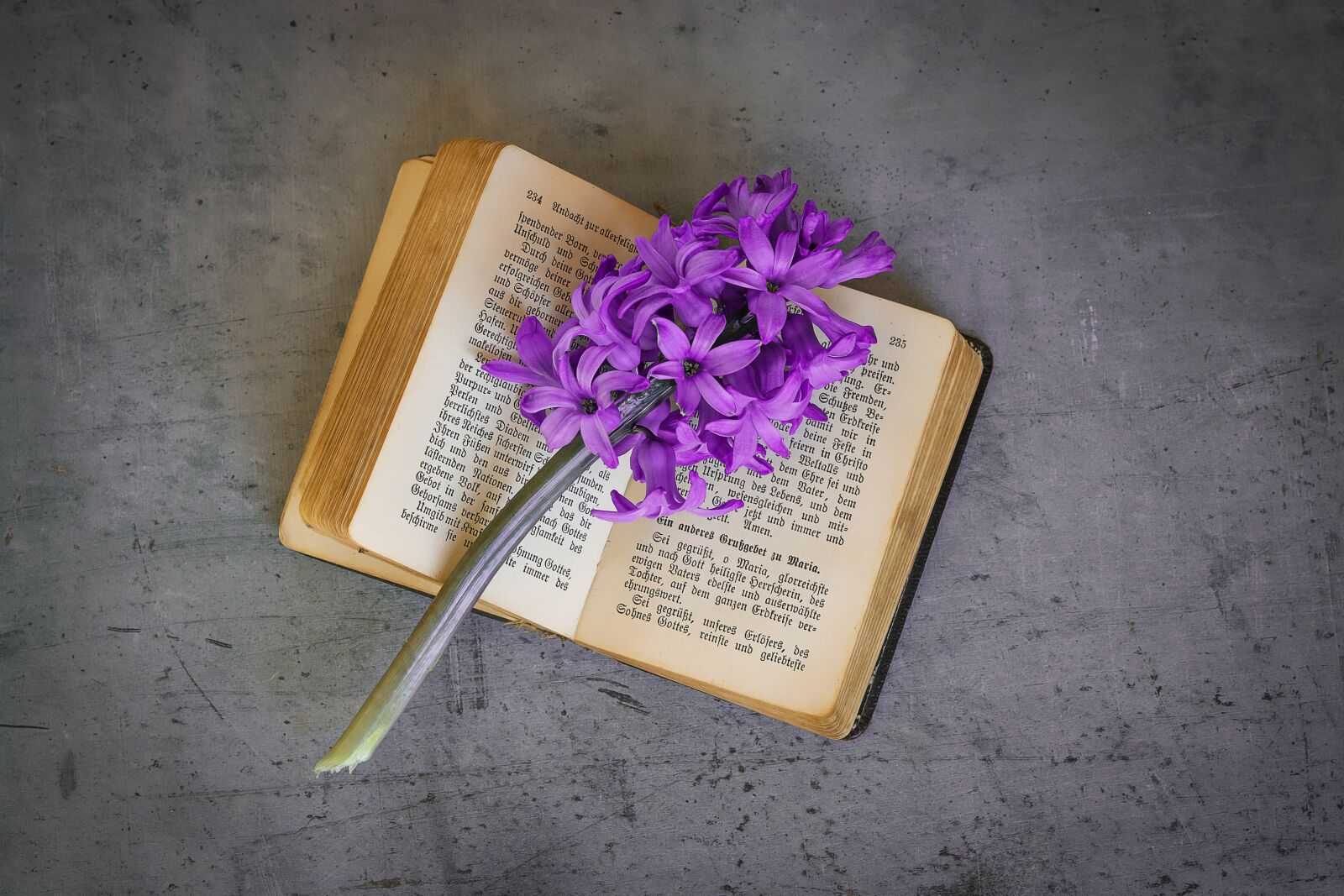 Nikon D7100 sample photo. Book, old, book pages photography