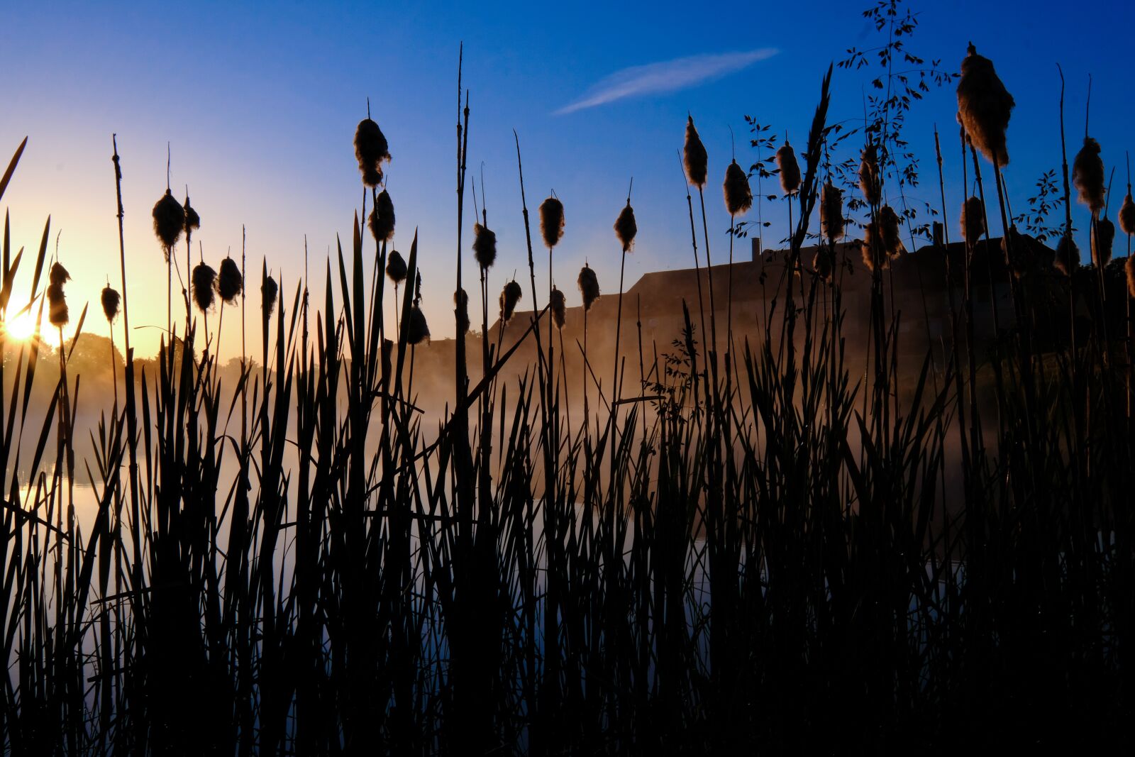 Fujifilm XF 10-24mm F4 R OIS sample photo. Landscape, sunrise, nature photography
