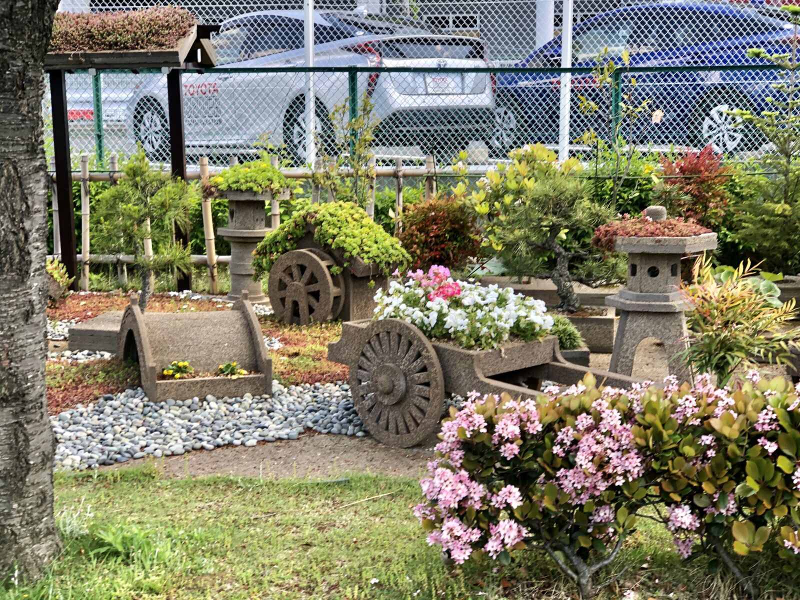 iPhone 8 Plus back dual camera 6.6mm f/2.8 sample photo. Flower, japan, nature photography