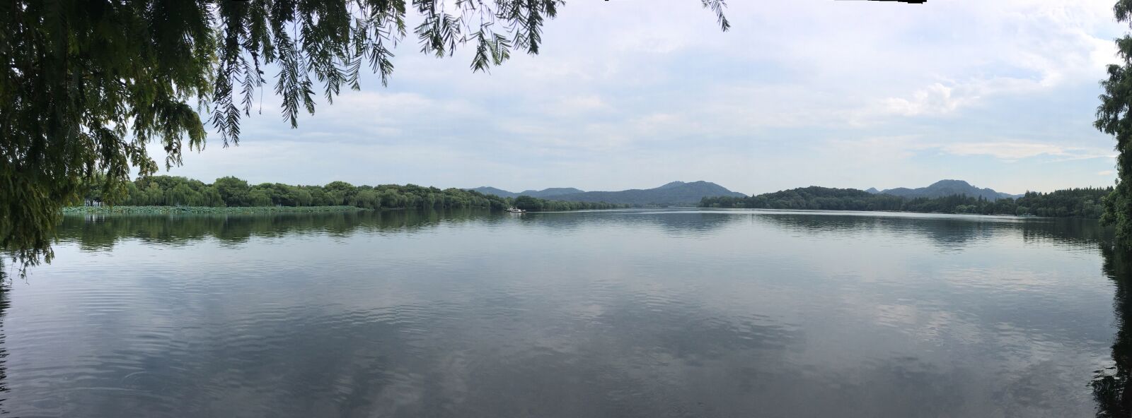 iPhone SE back camera 4.15mm f/2.2 sample photo. Lake, lotus, cloud photography