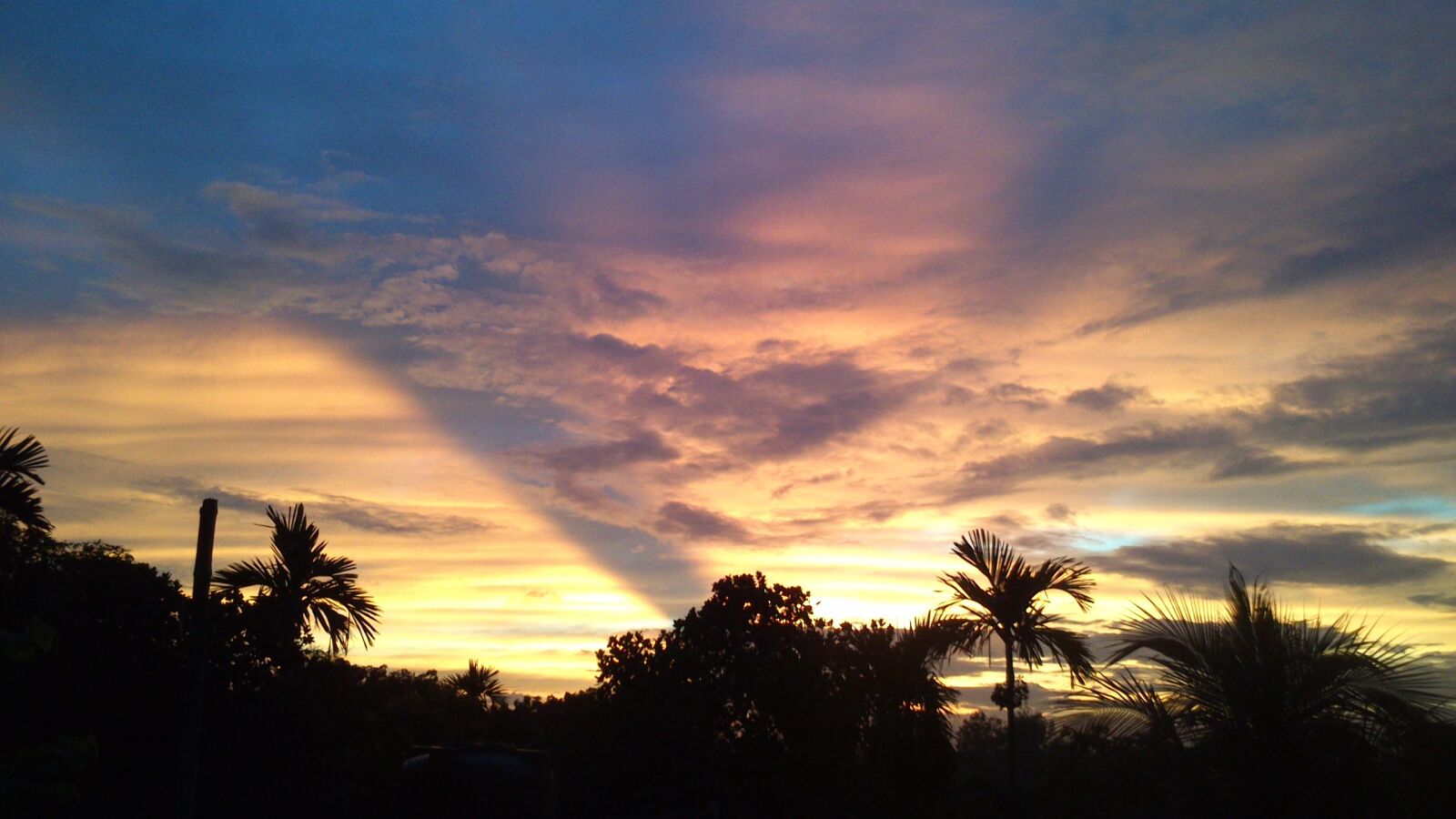 Sony Xperia U sample photo. Shades of nature, nature photography