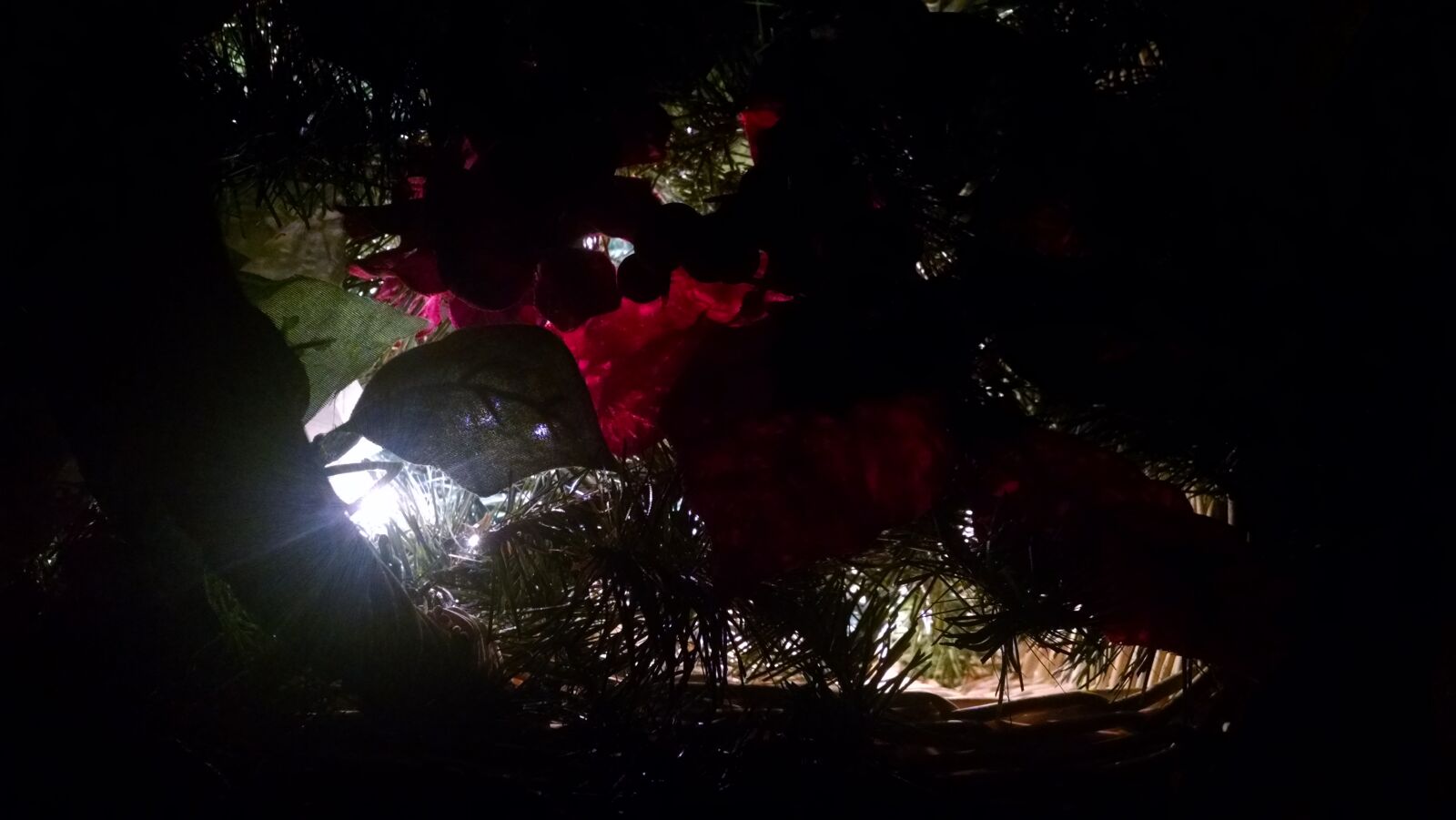 QCOM-AA QCAM-AA sample photo. Decoration, night photography