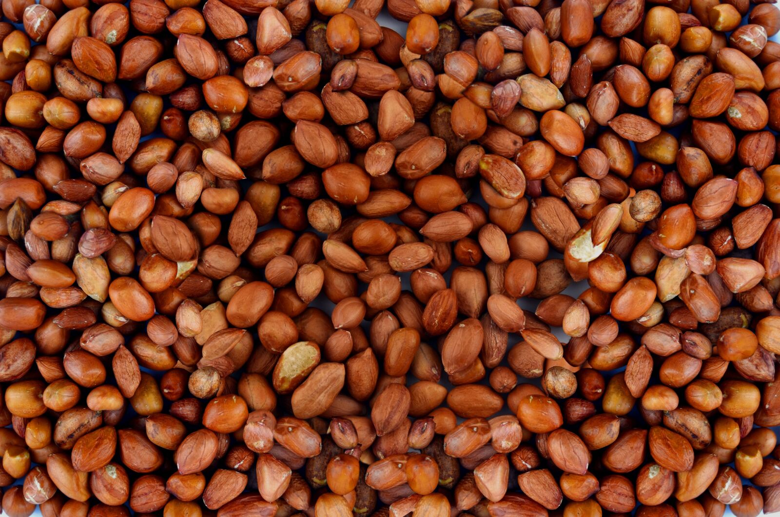 Nikon D7000 sample photo. Peanut, nuts, food photography