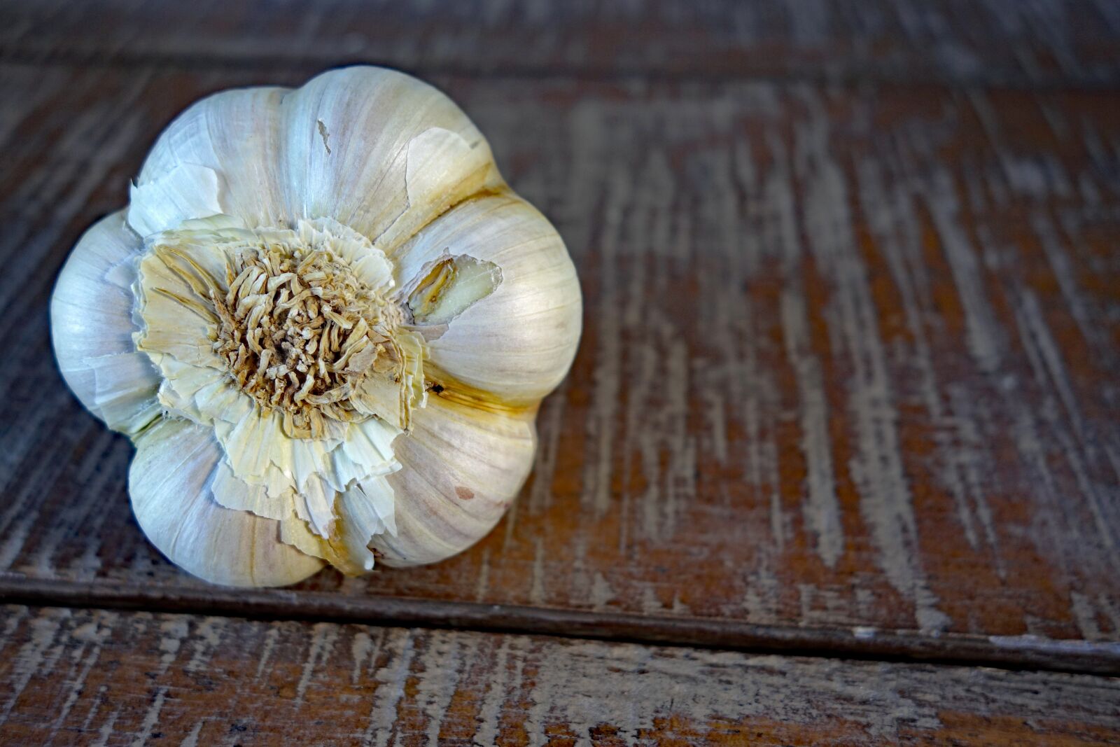 Sony Cyber-shot DSC-RX100 II sample photo. Garlic, vegetables photography