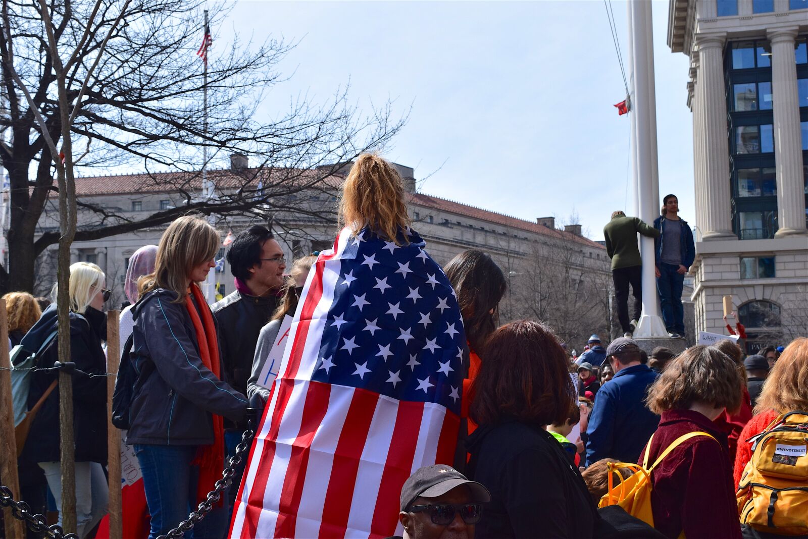 Nikon D3300 sample photo. Protest, flag, demonstration photography