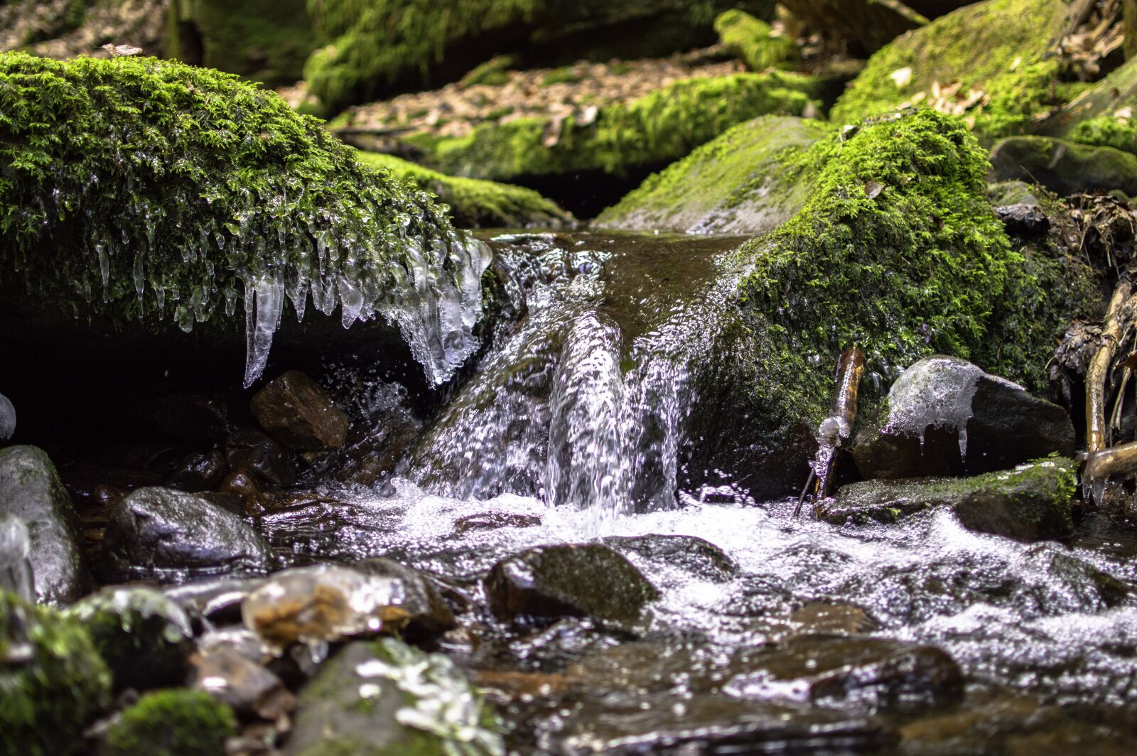 Nikon D3200 sample photo. Bach, nature, ice photography