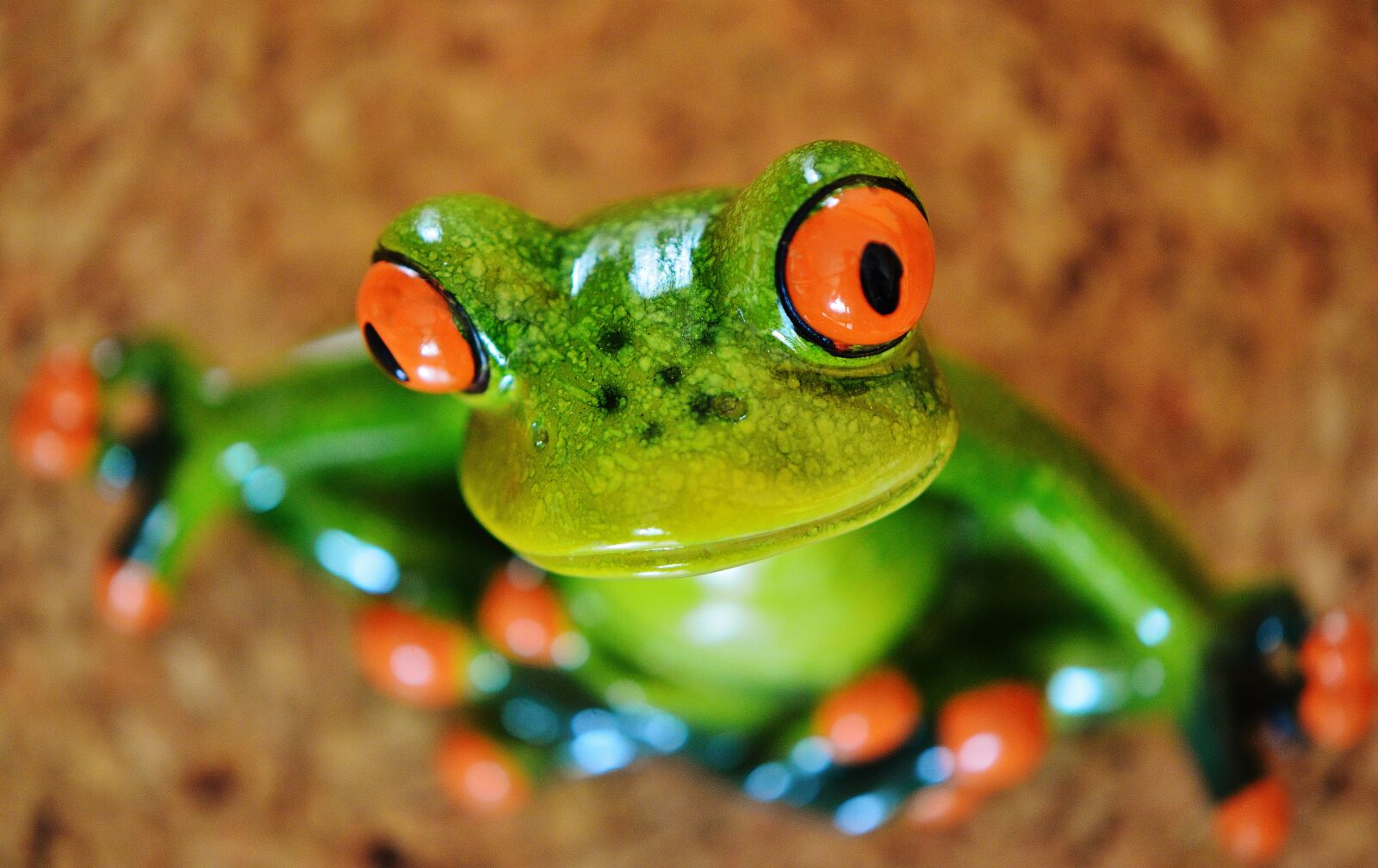 Nikon D3200 sample photo. Frog, funny, figure photography