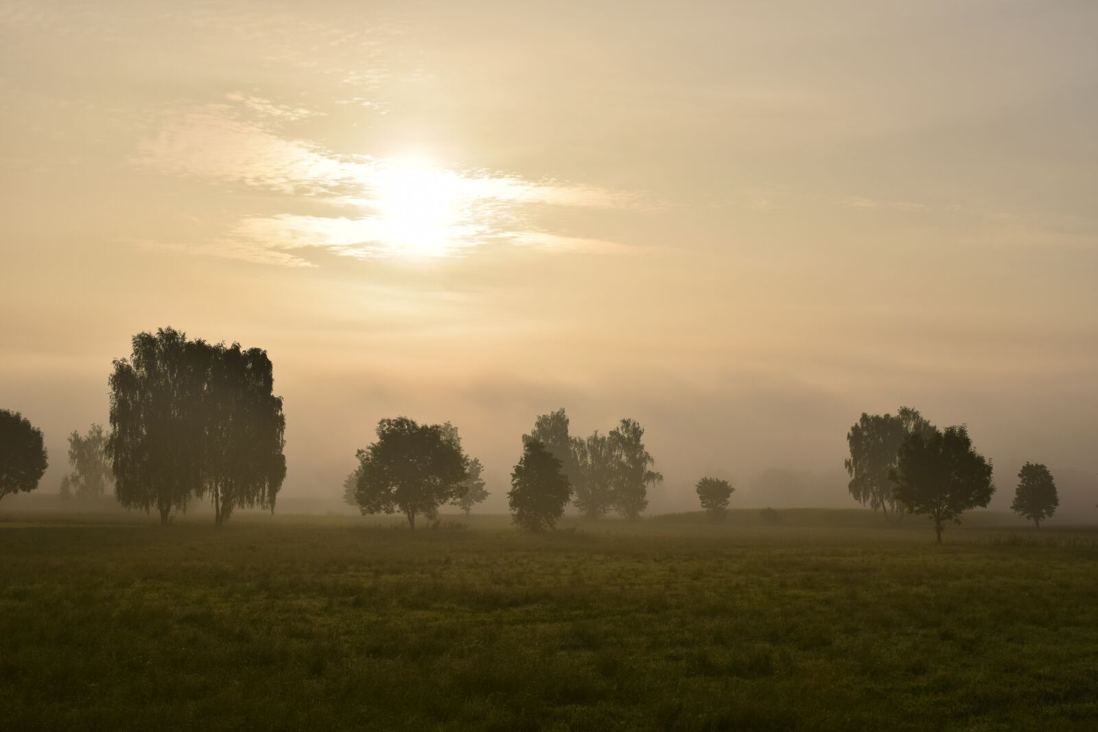 Nikon D3300 sample photo. Morning mist, fog, landscape photography