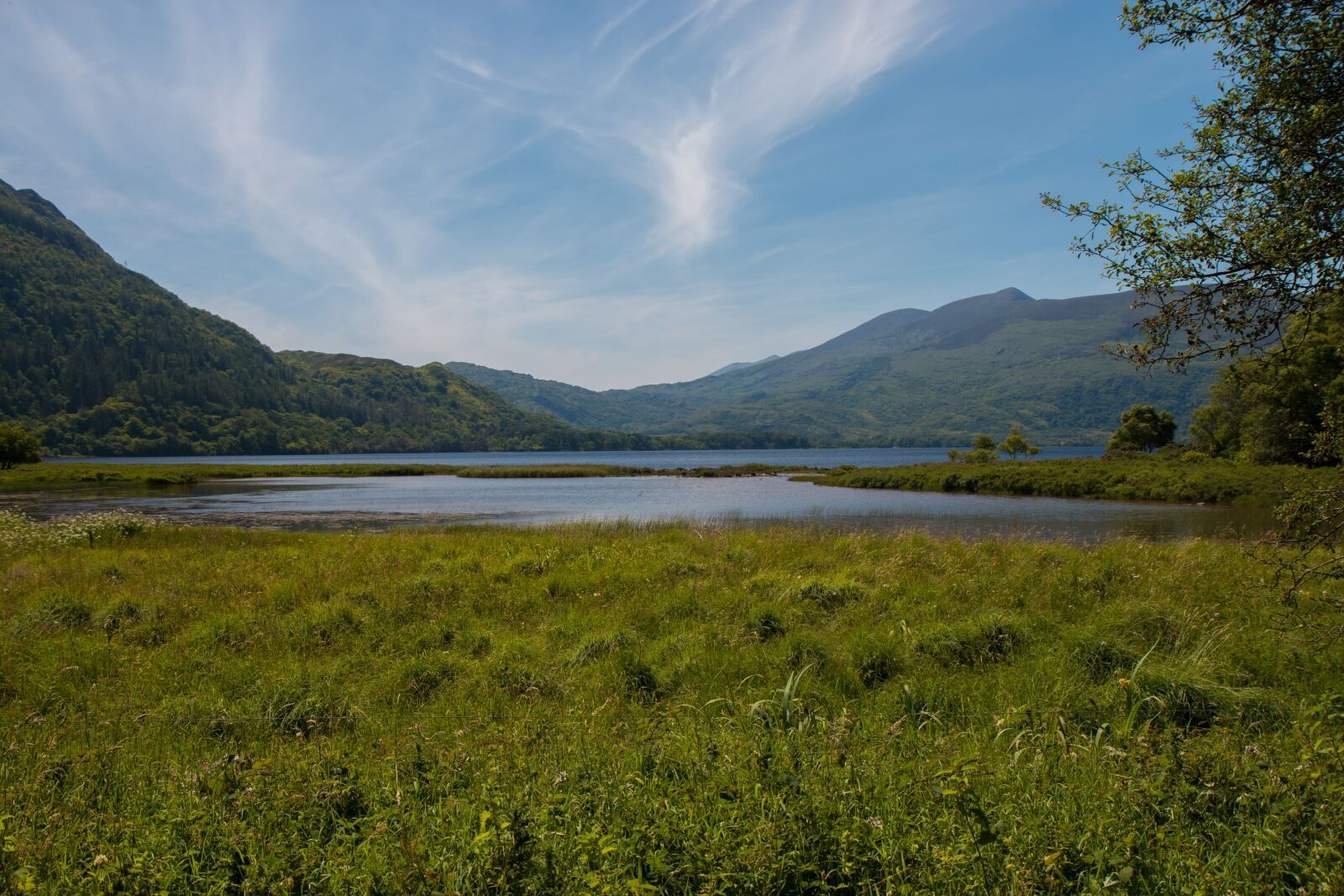 Canon EOS 70D sample photo. Ireland, killarney, landscape photography