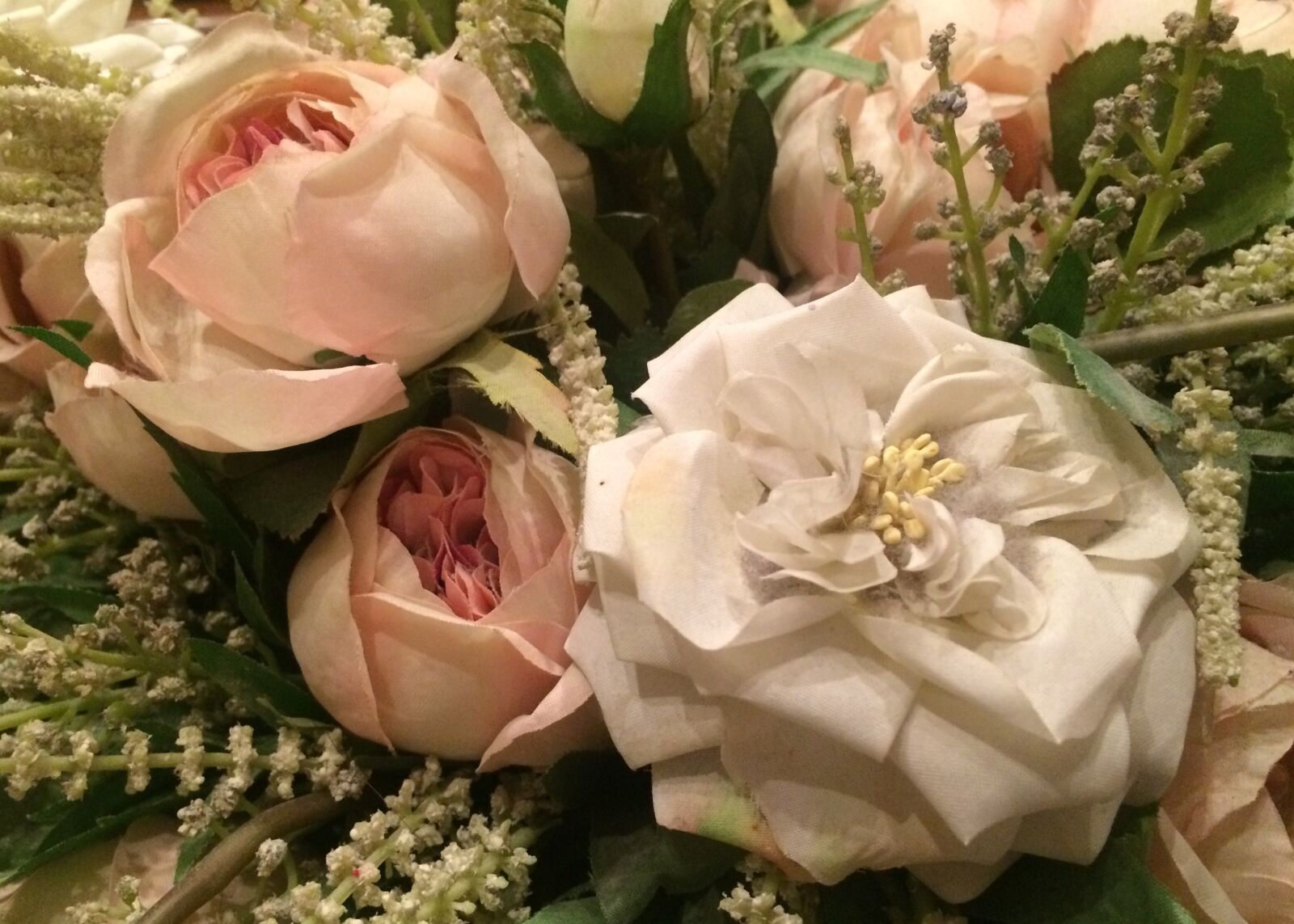 iPhone 5s back camera 4.15mm f/2.2 sample photo. Carpi, flowers, fossoli, home photography