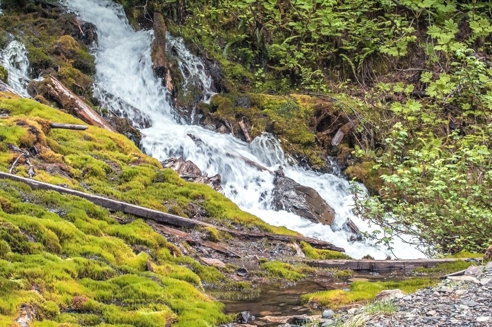 Nikon D50 sample photo. Trees, waterfall, bright photography