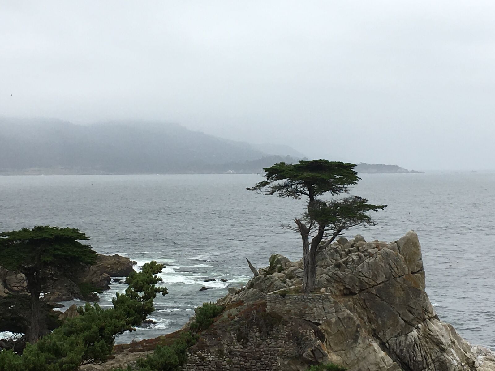 iPhone 6s back camera 4.15mm f/2.2 sample photo. Cypress, california, pacific coast photography