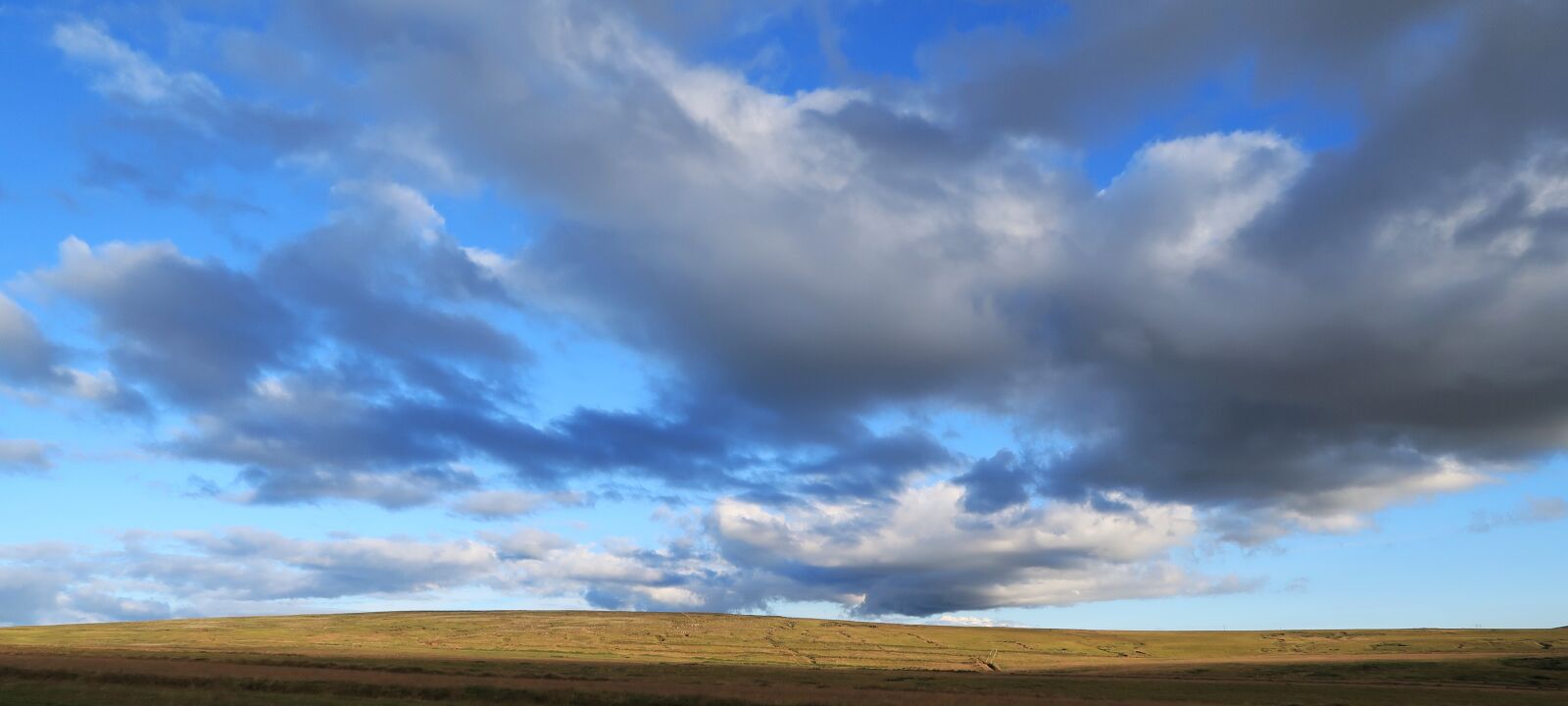 Canon PowerShot G7 X Mark II sample photo. Clouds, sky, field photography